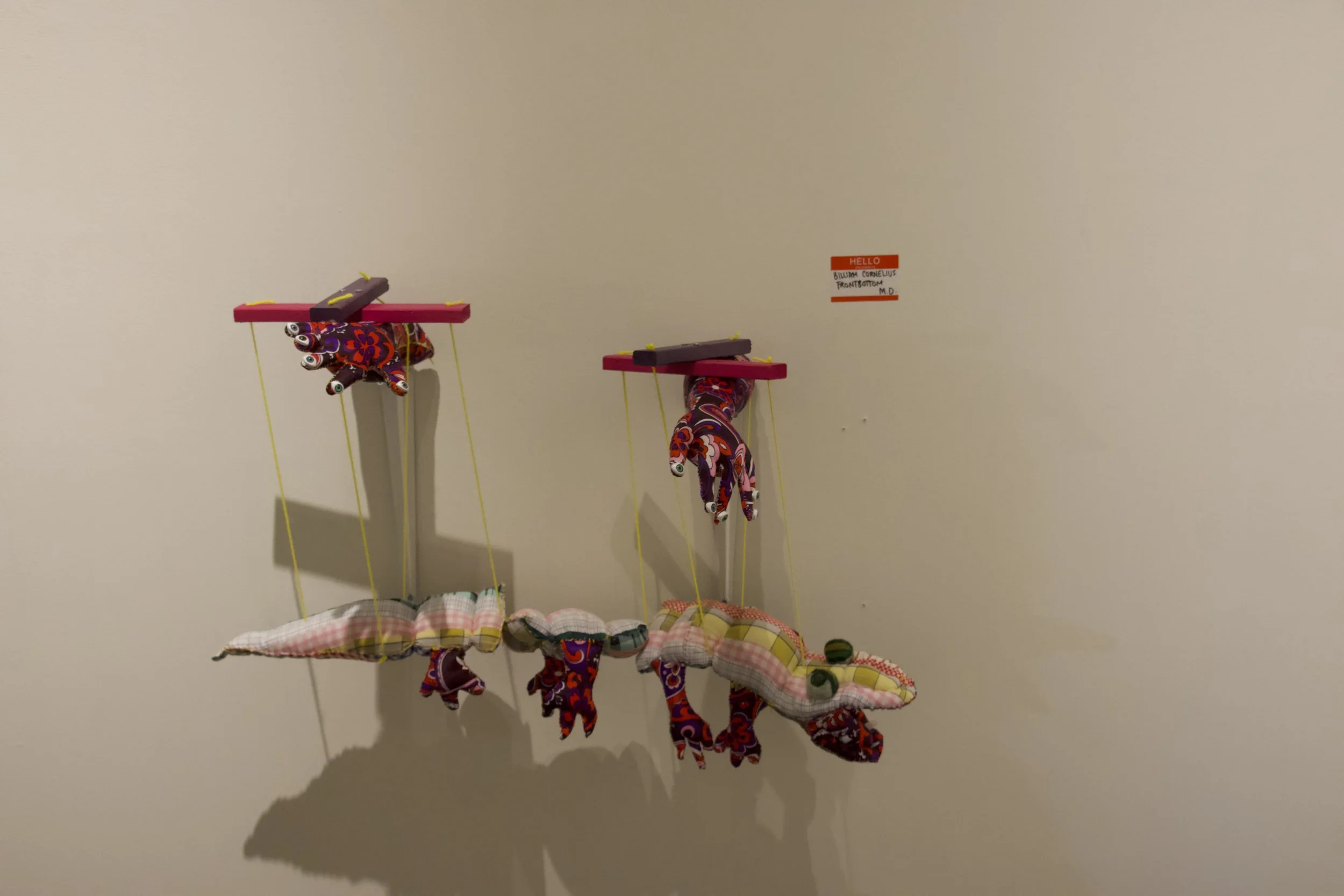 IMG_8872.jpeg