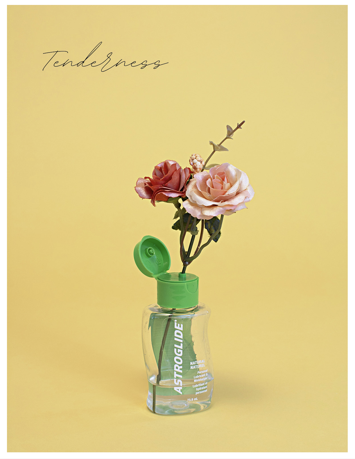 Artificial pink and red roses in a small transparent bottle labeled 'Astroglide' with a green lid, set against a yellow background with the word 'Tenderness' written in cursive.