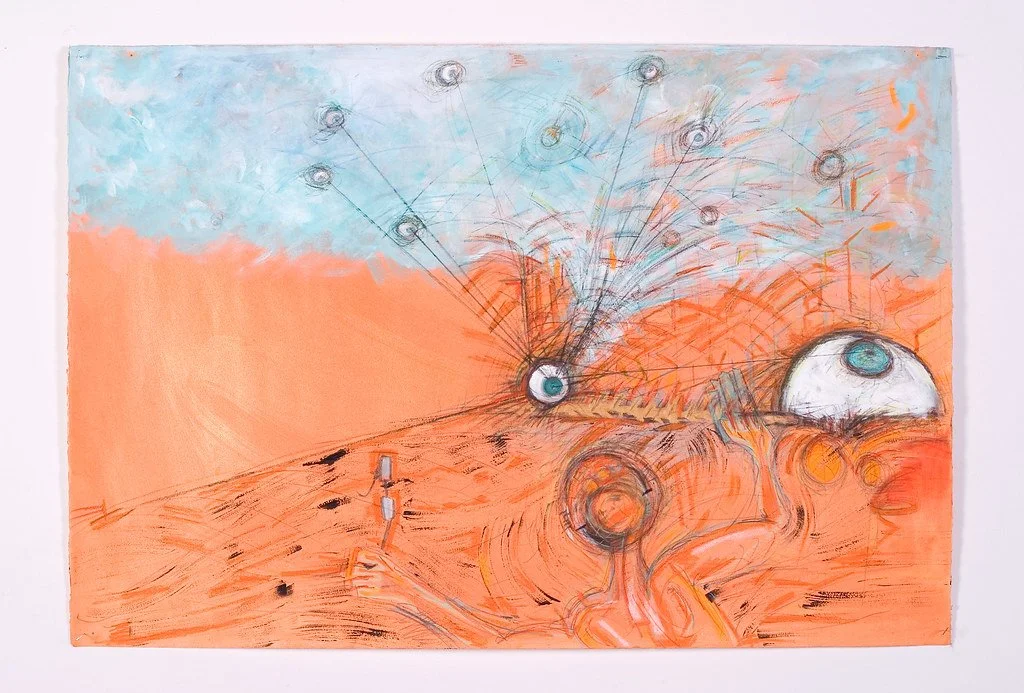 2009 - Transactions of the Eye by Harold Coego.jpg
