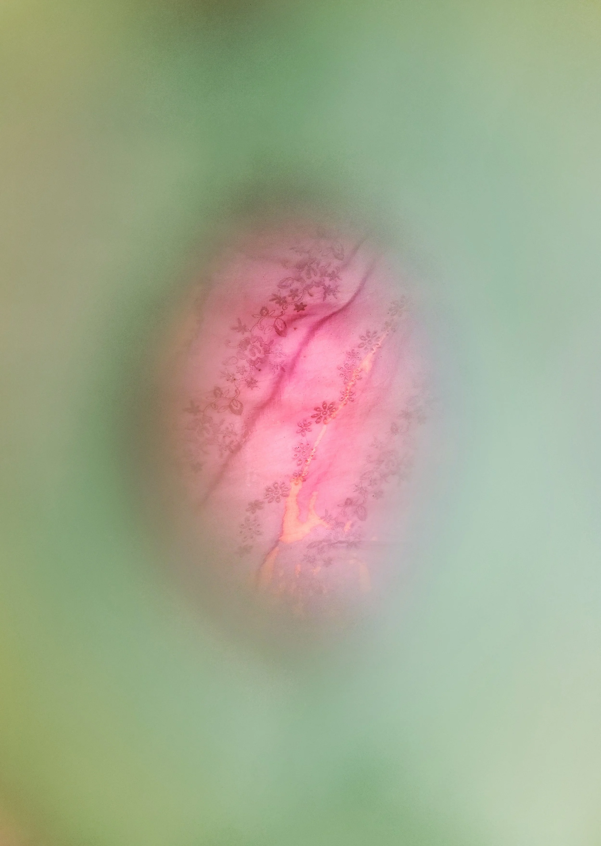 Francisco Berlanga 2.jpg