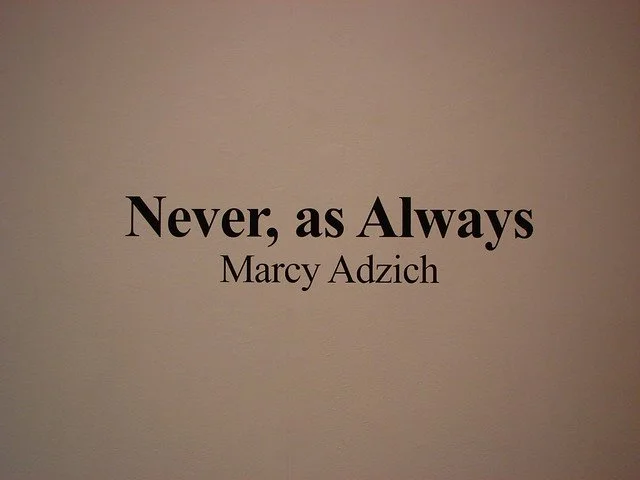 2010- Never, as Always - Marcy Adzich 4.jpg