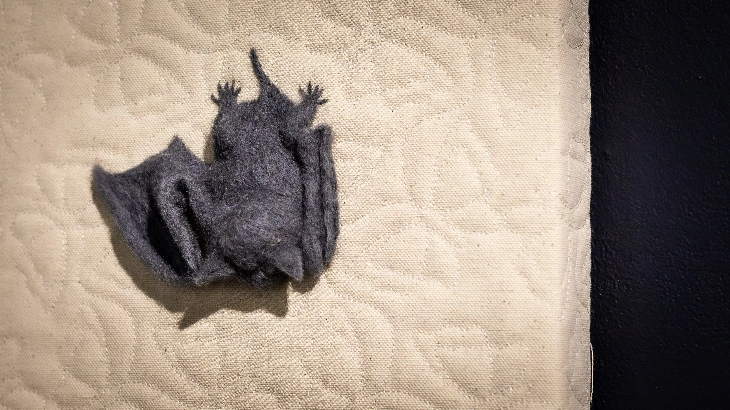 Photography by Shanique Peart