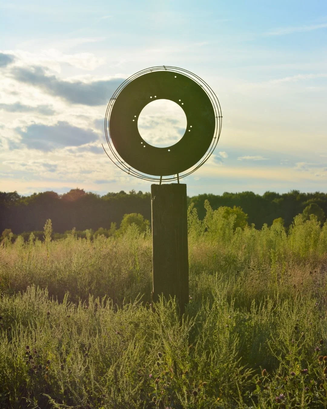 An outdoor scene showing a metal sculpture of a large ring with smaller holes, mounted on a wooden post in a field of tall grass with trees in the background, under a partly cloudy sky.