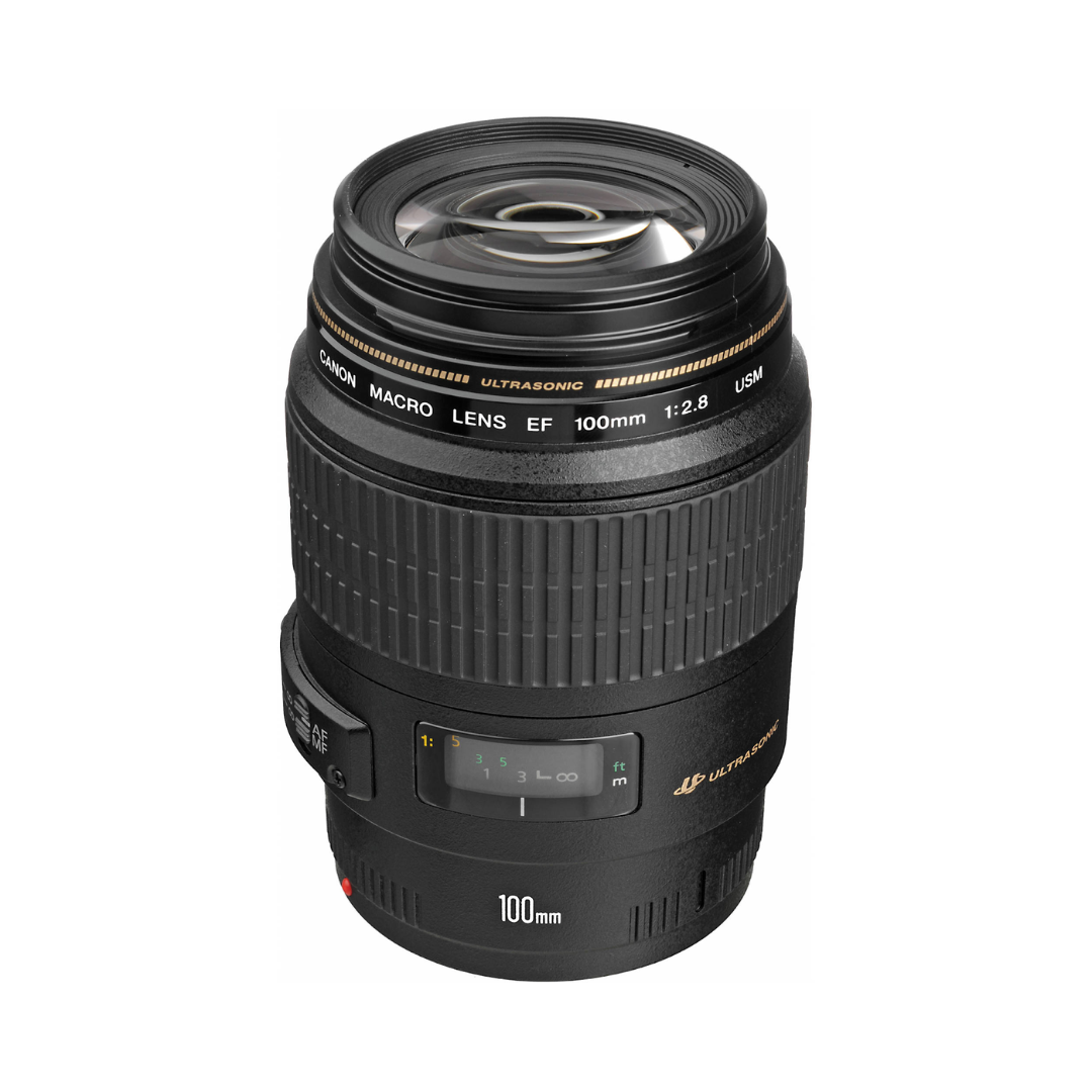 Canon macro lens with ultrasonic zoom, 100mm focal length, f/2.8 aperture.
