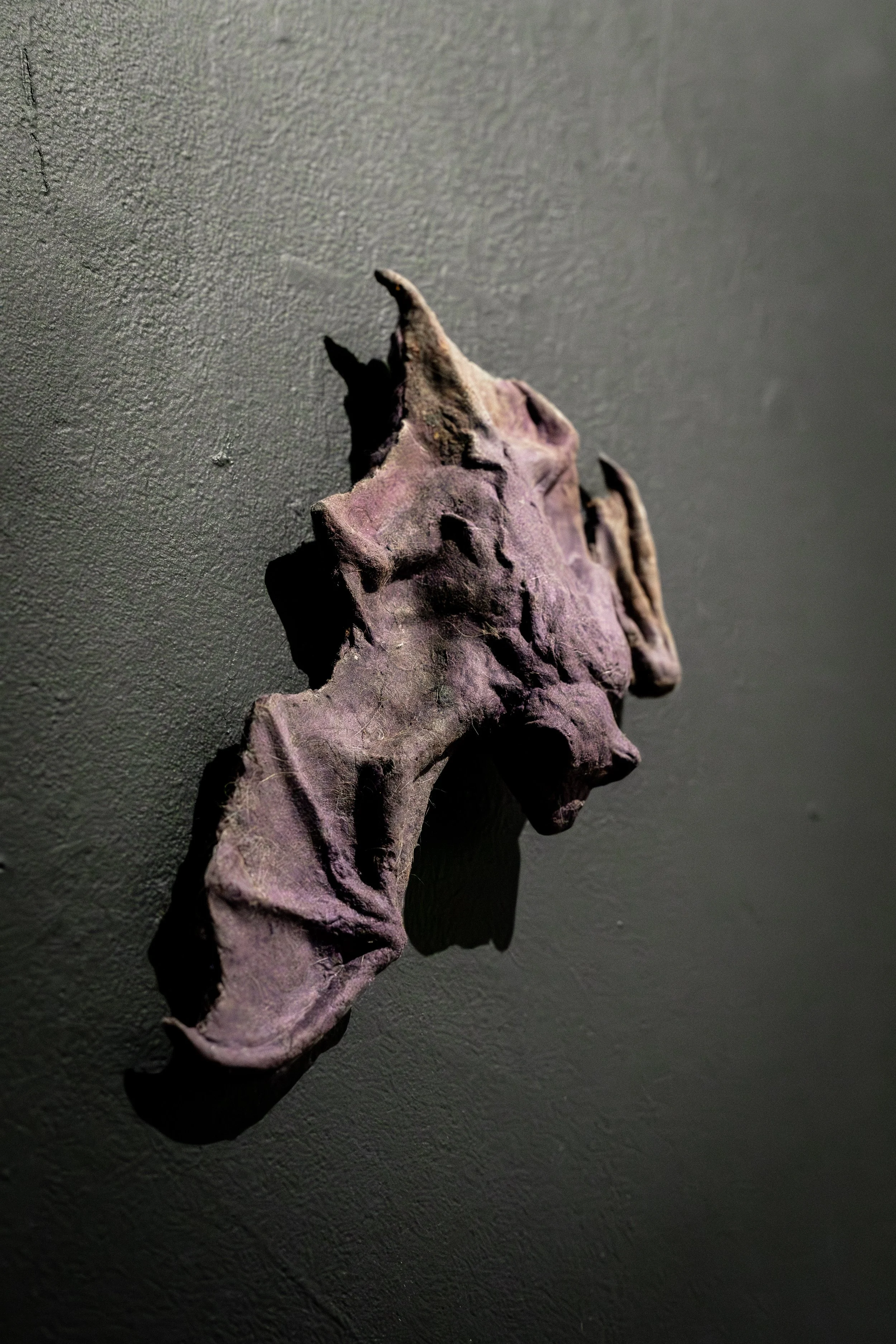 Photography by Shanique Peart