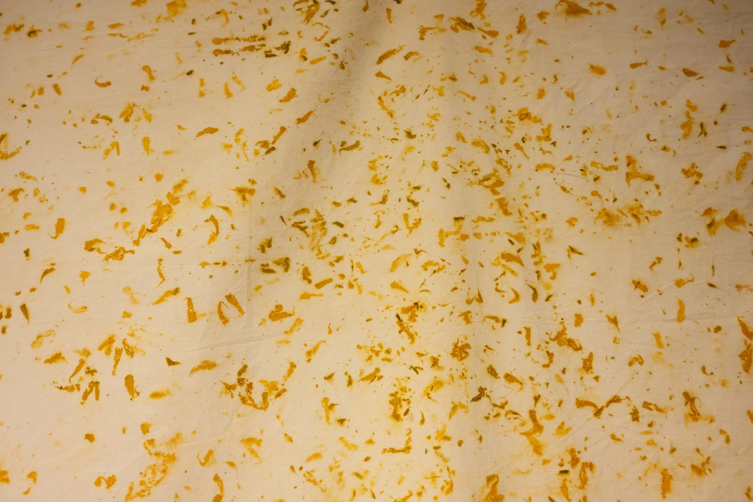 Close-up of a surface with scattered orange-yellow curls, possibly shredded paper or confetti, on a light background.