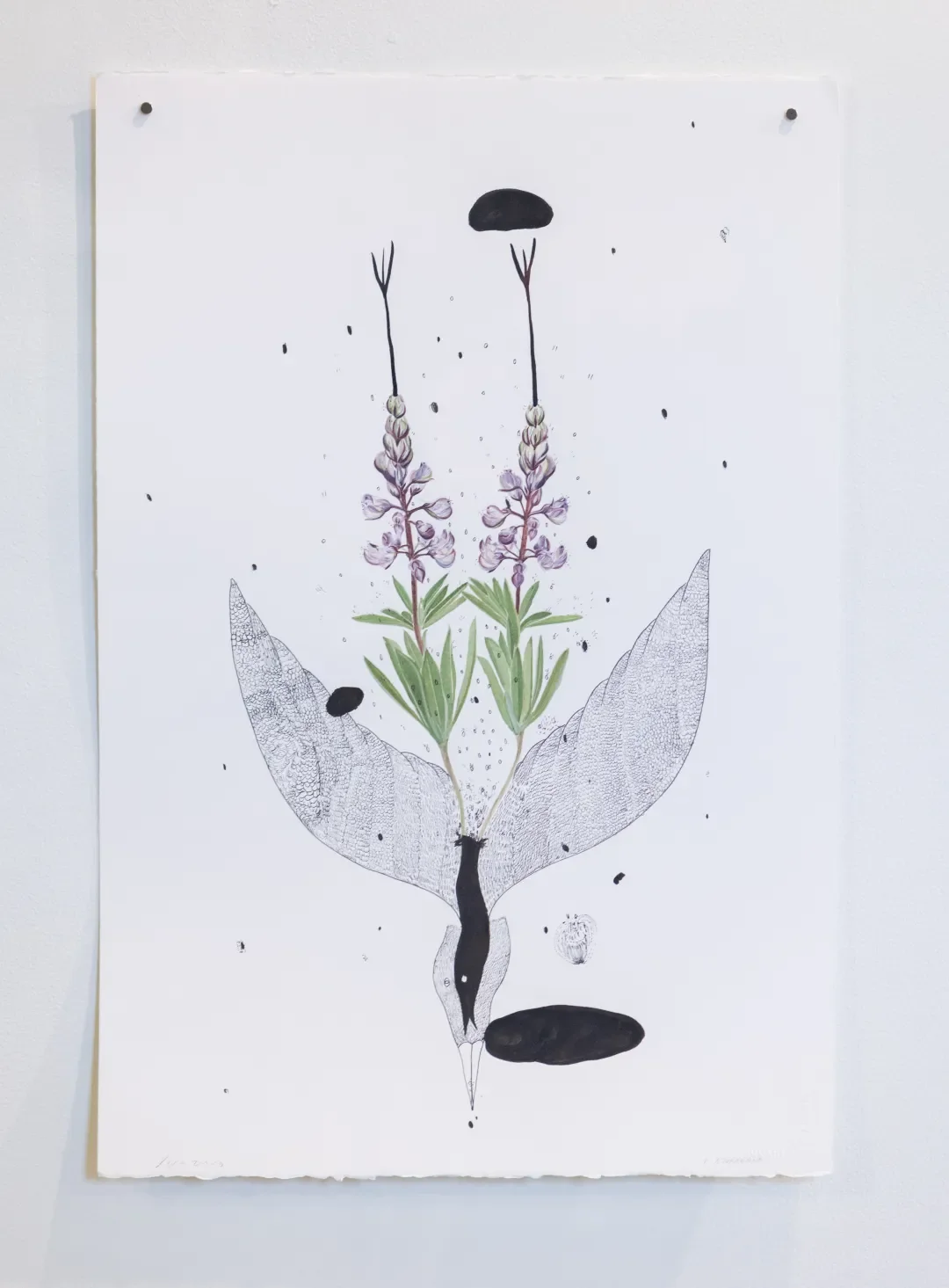 A botanical illustration combining flowers, leaves, and abstract elements with black ink blotches.