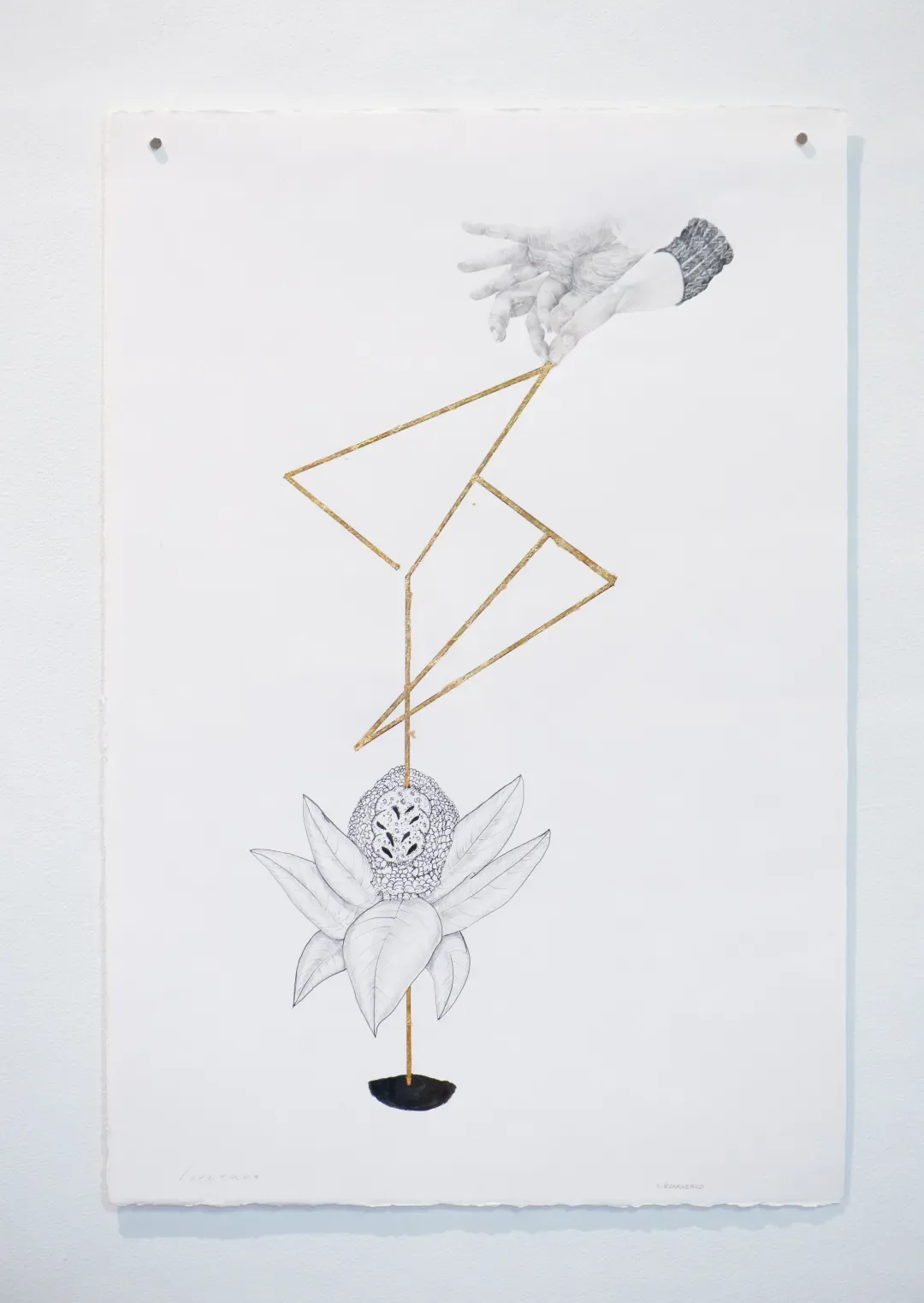 Abstract artwork featuring a black and white hand drawn flower with large leaves, connected by a gold geometric line to a black semicircle at the bottom, and a geometric shape suspended from the hand.