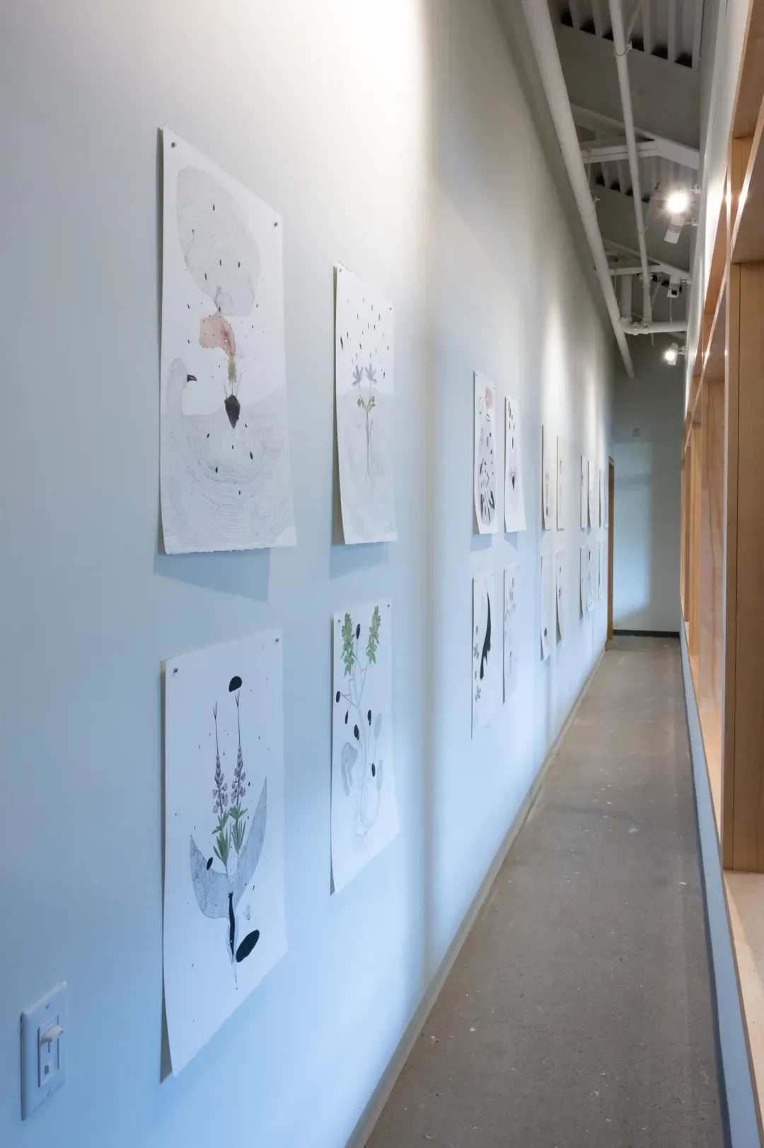 Gallery wall with various artwork displayed in a modern indoor space.