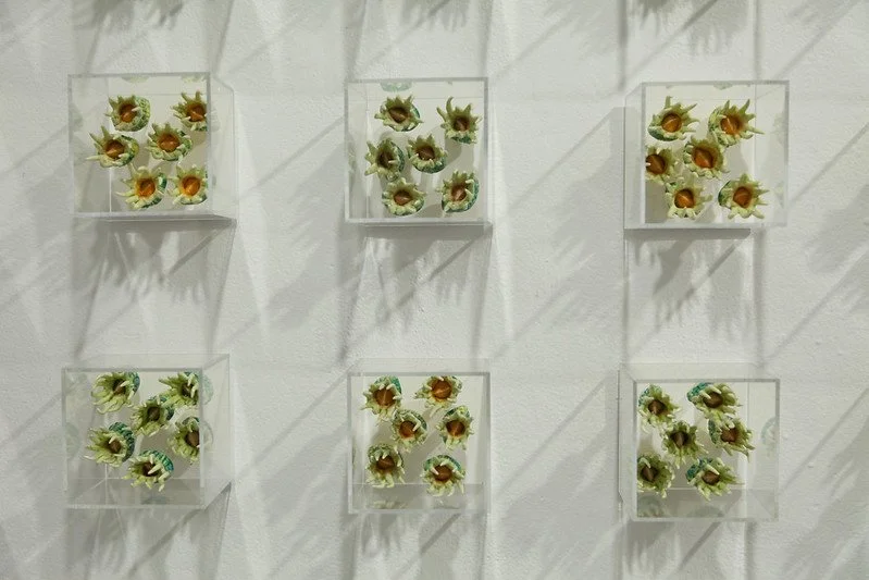 2012-Variations on Symmetry by Eliza Au and Ying-Yueh Chuang 7.jpg