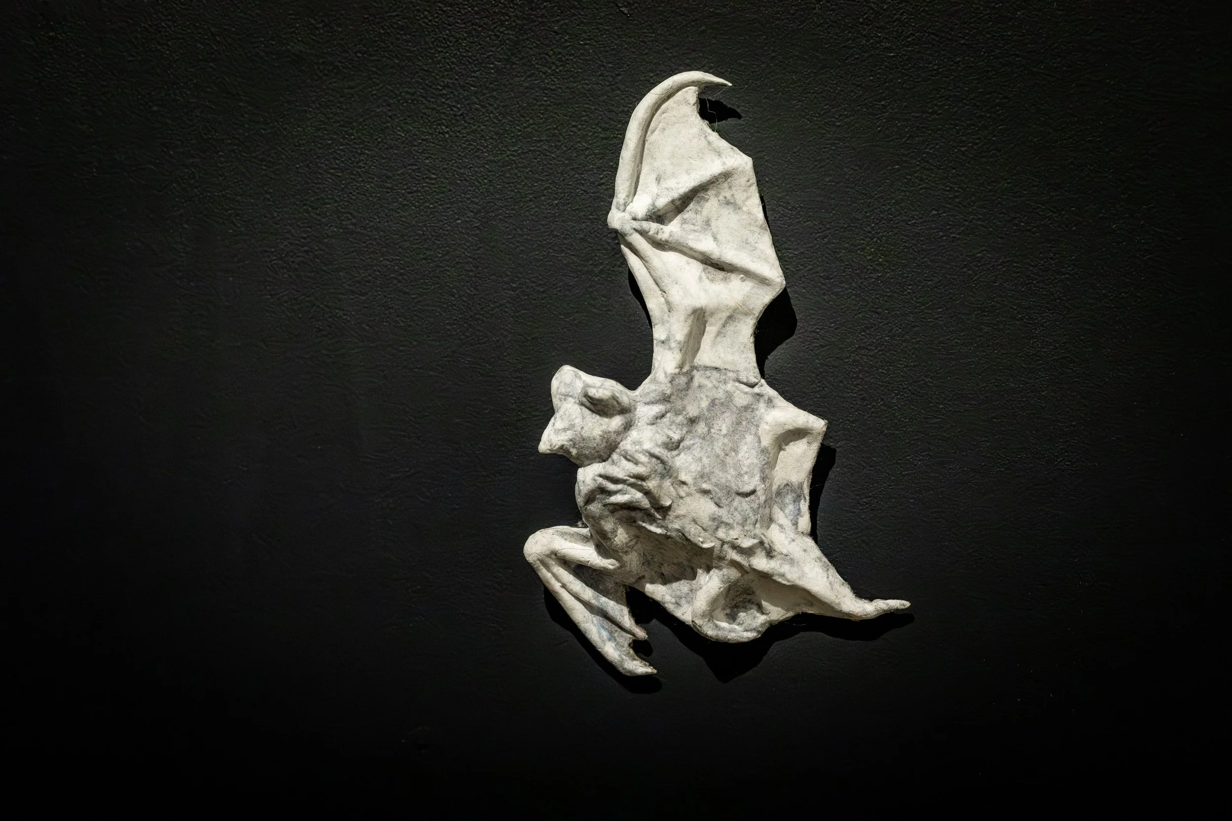 Photography by Shanique Peart