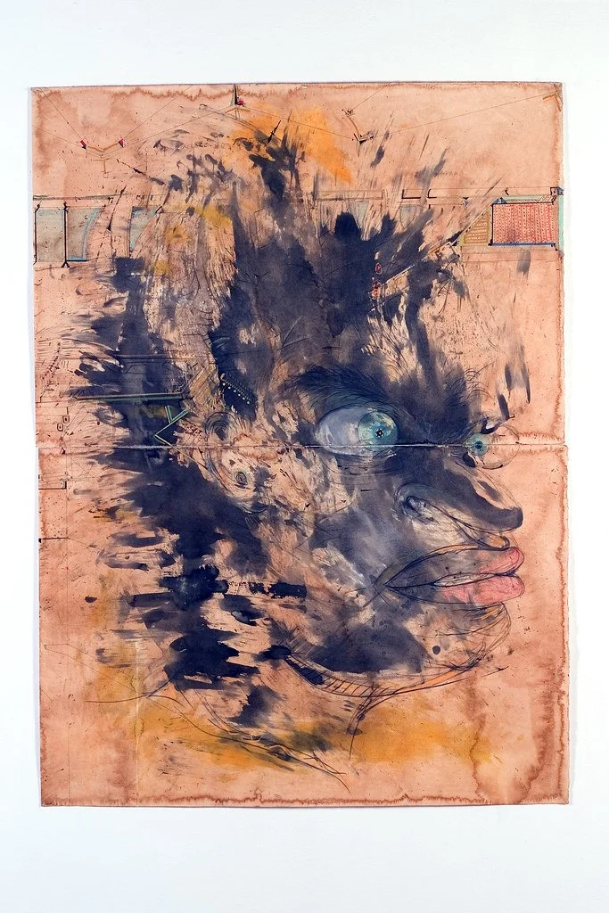 2009 - Transactions of the Eye by Harold Coego.jpg