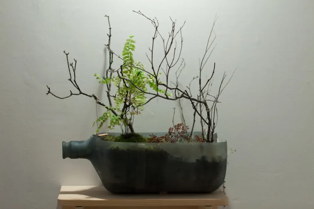 2014-little wonders- Erin Milliken 2.webp