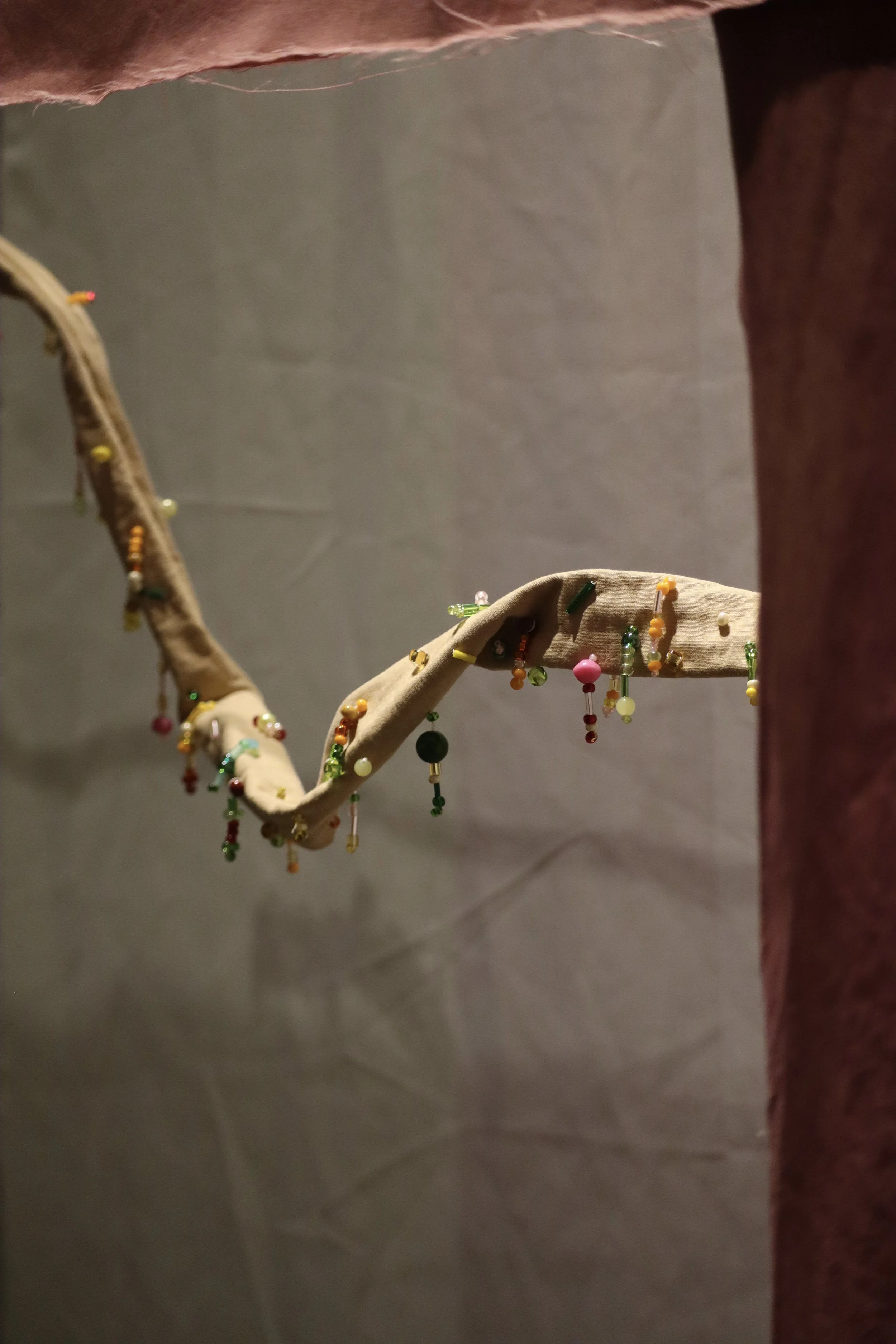 IMG_6080.jpg
