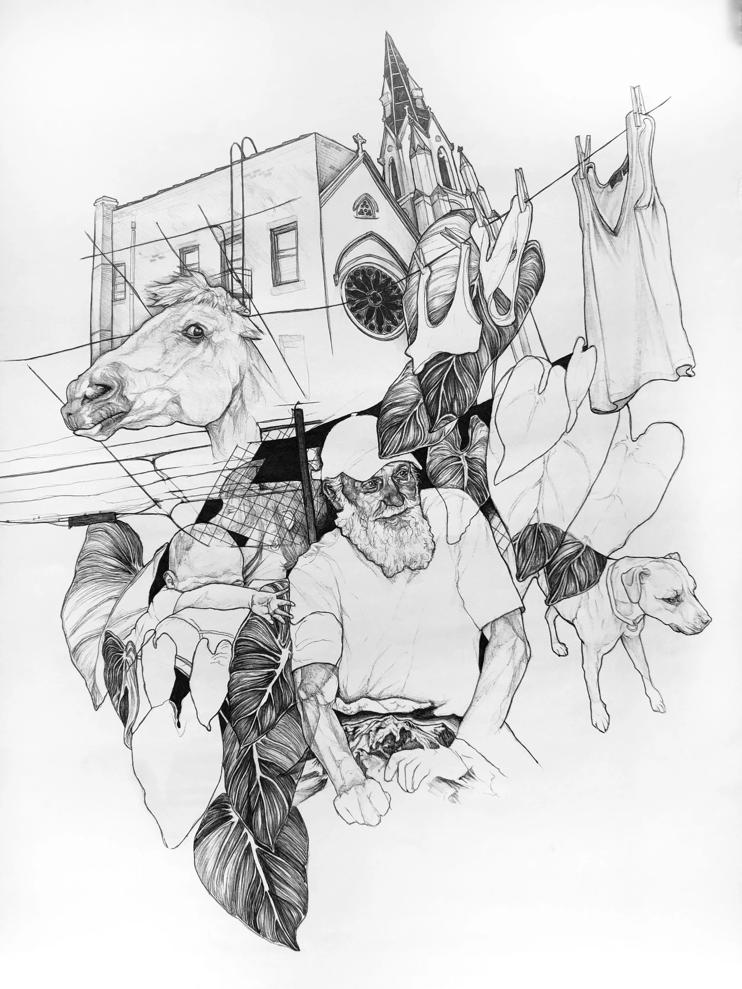 "Alpenglow"
Ballpoint Pen 
10x14in
A memorial piece... collaged: the sum of the parts to the whole. 