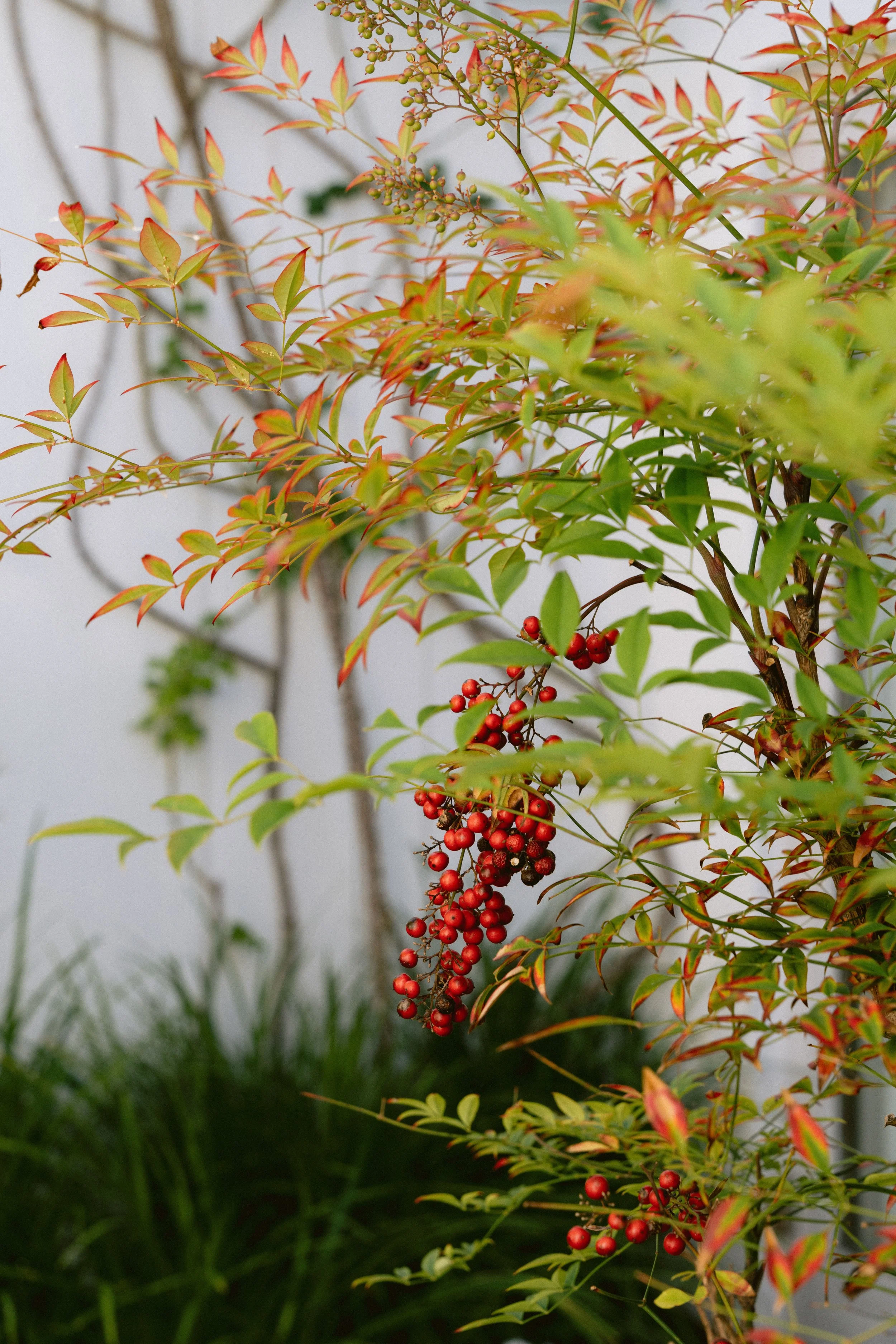 INTIMATE WEDDING_-03.jpg