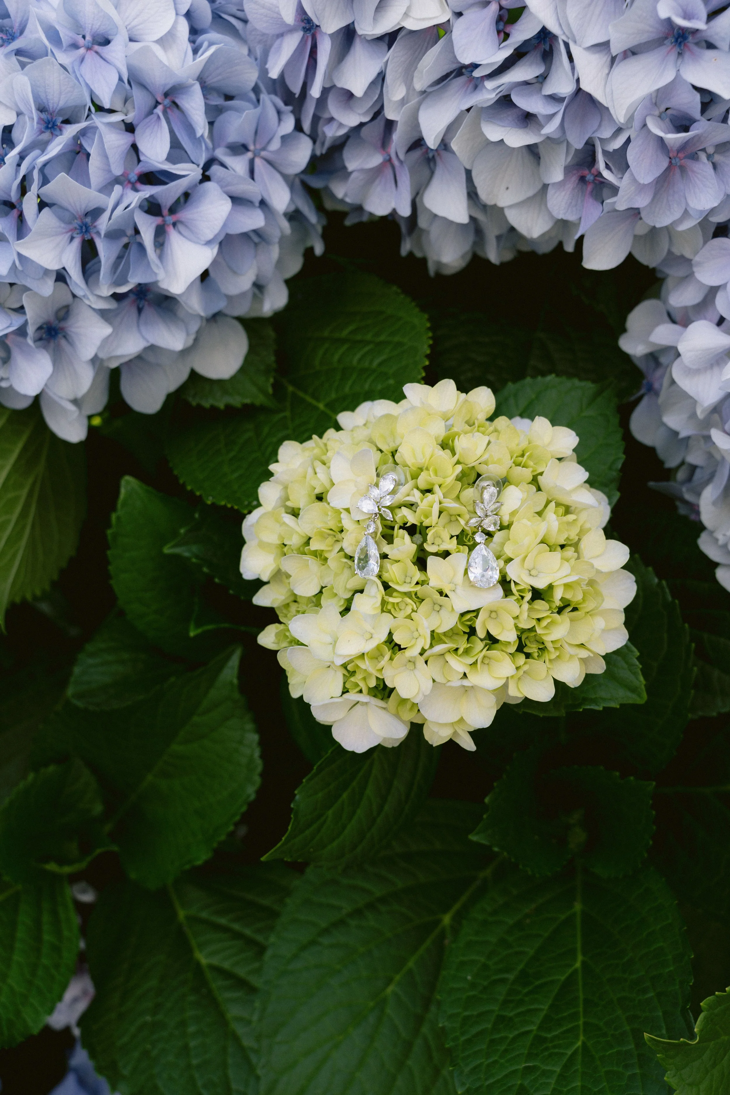 INTIMATE WEDDING_-11.jpg