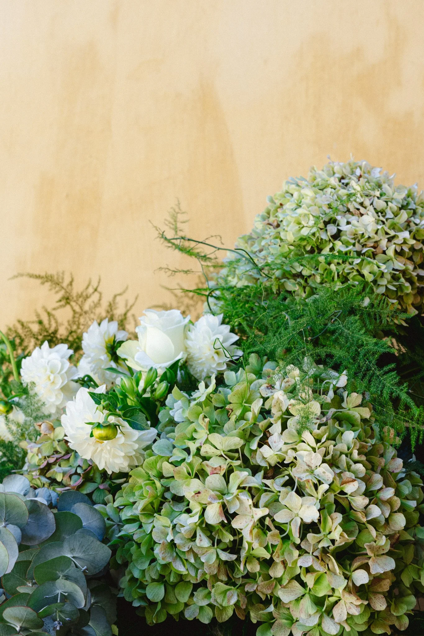 MOYPHOTOGRAPHY_JONKMANSHOF_WEDDINGPHOTOGRAPHY_INTIMATEWEDDING_NEWYORK_SOUTHAFRICA_-13.jpg