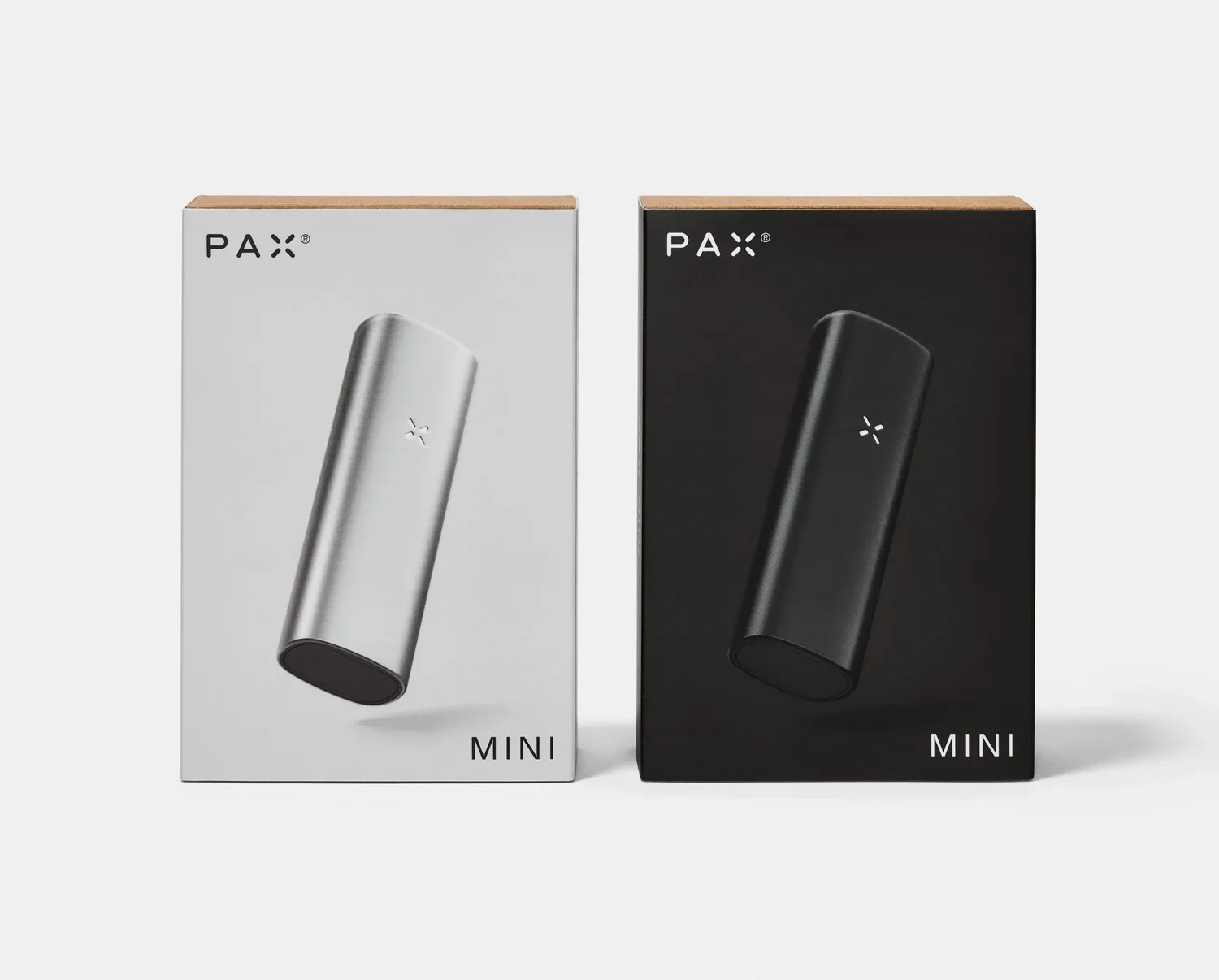PAXMINI.GROUP.FRONT_0044.webp