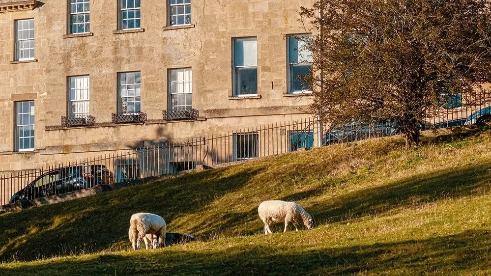 Why is Bath a great option for buyers?