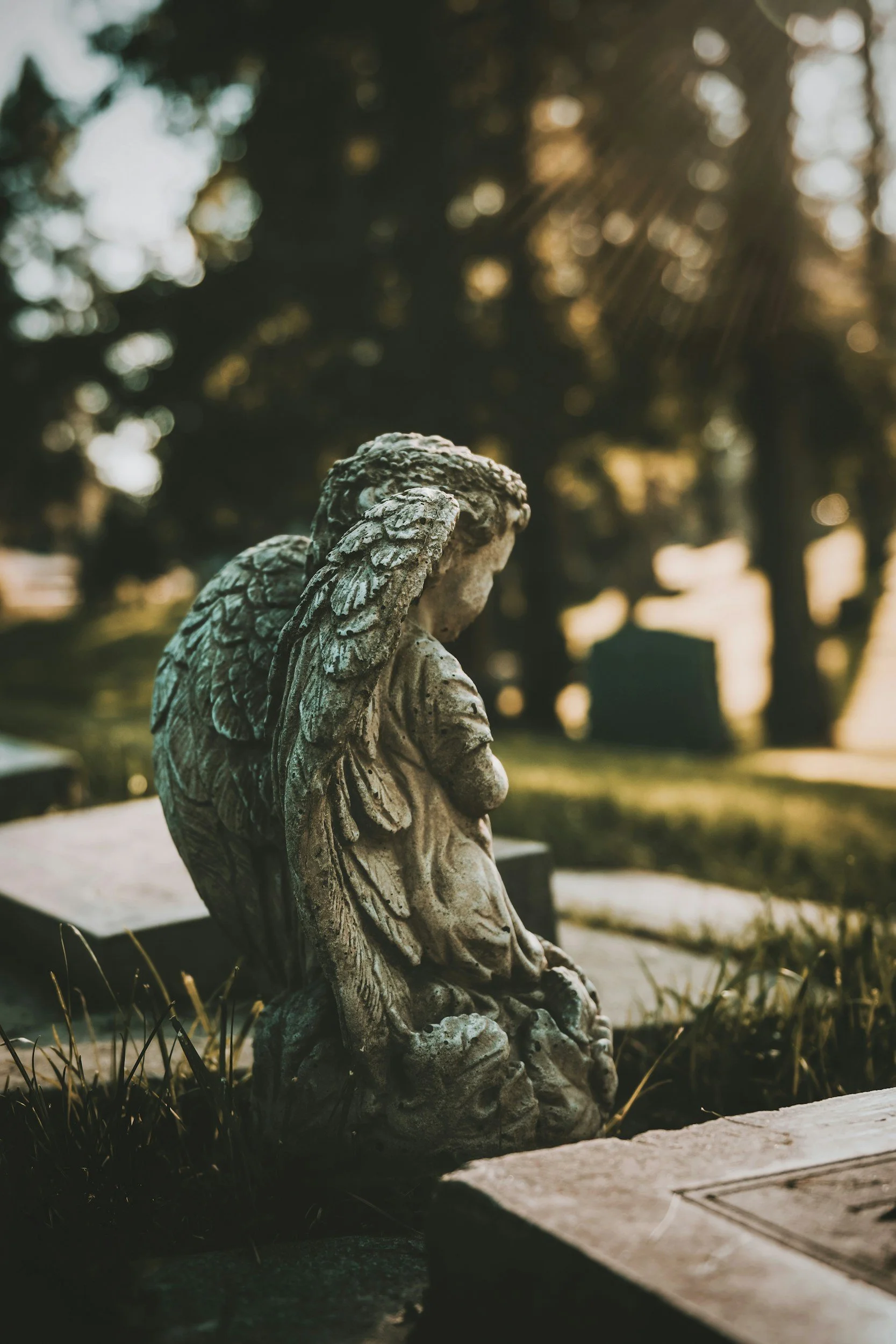 unsplash-image--GtSbrl25Ns.jpg