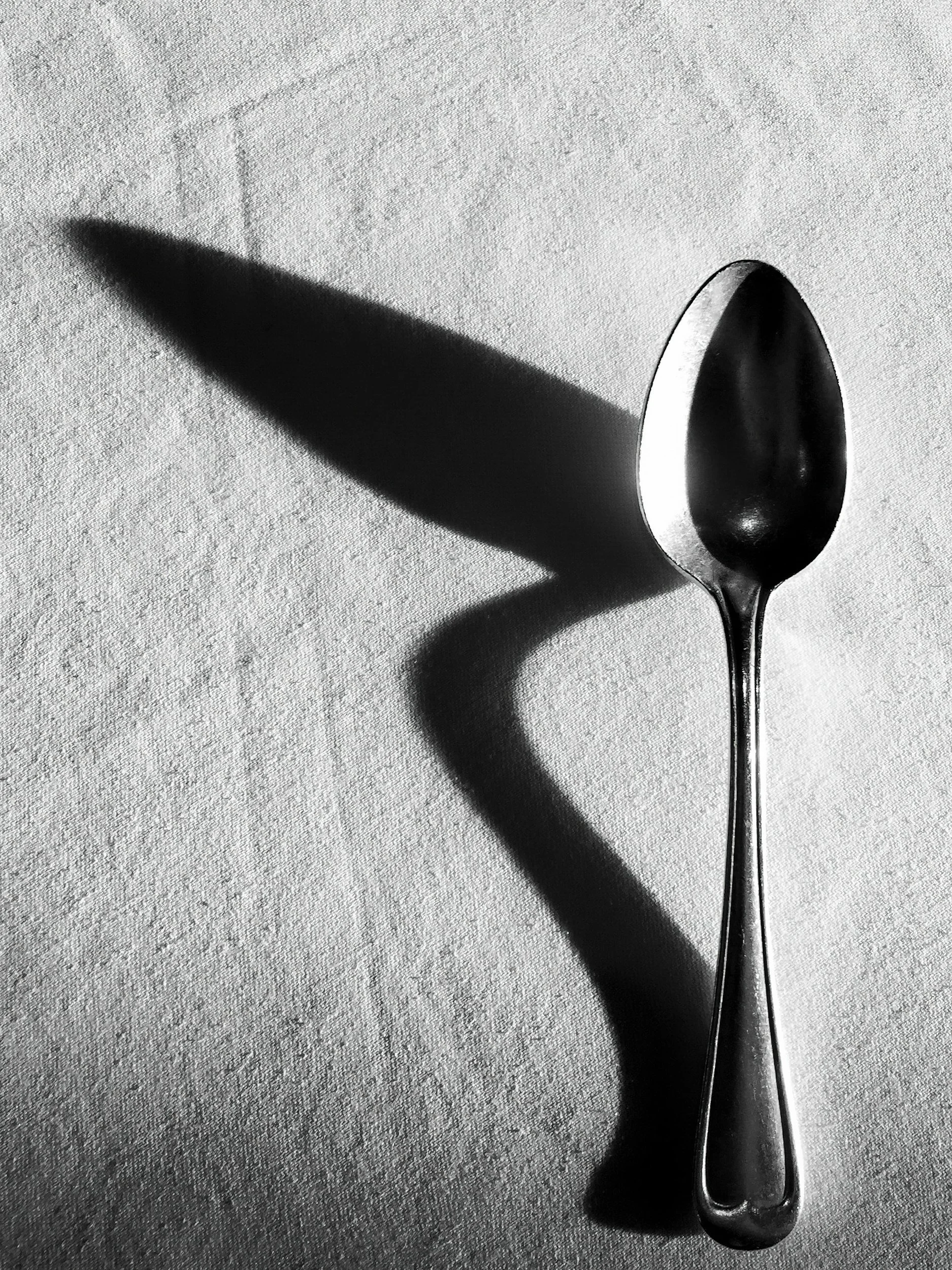 There Is No Spoon:
A Black Woman’s Guide to Waking Up Without Burning Her Life Down