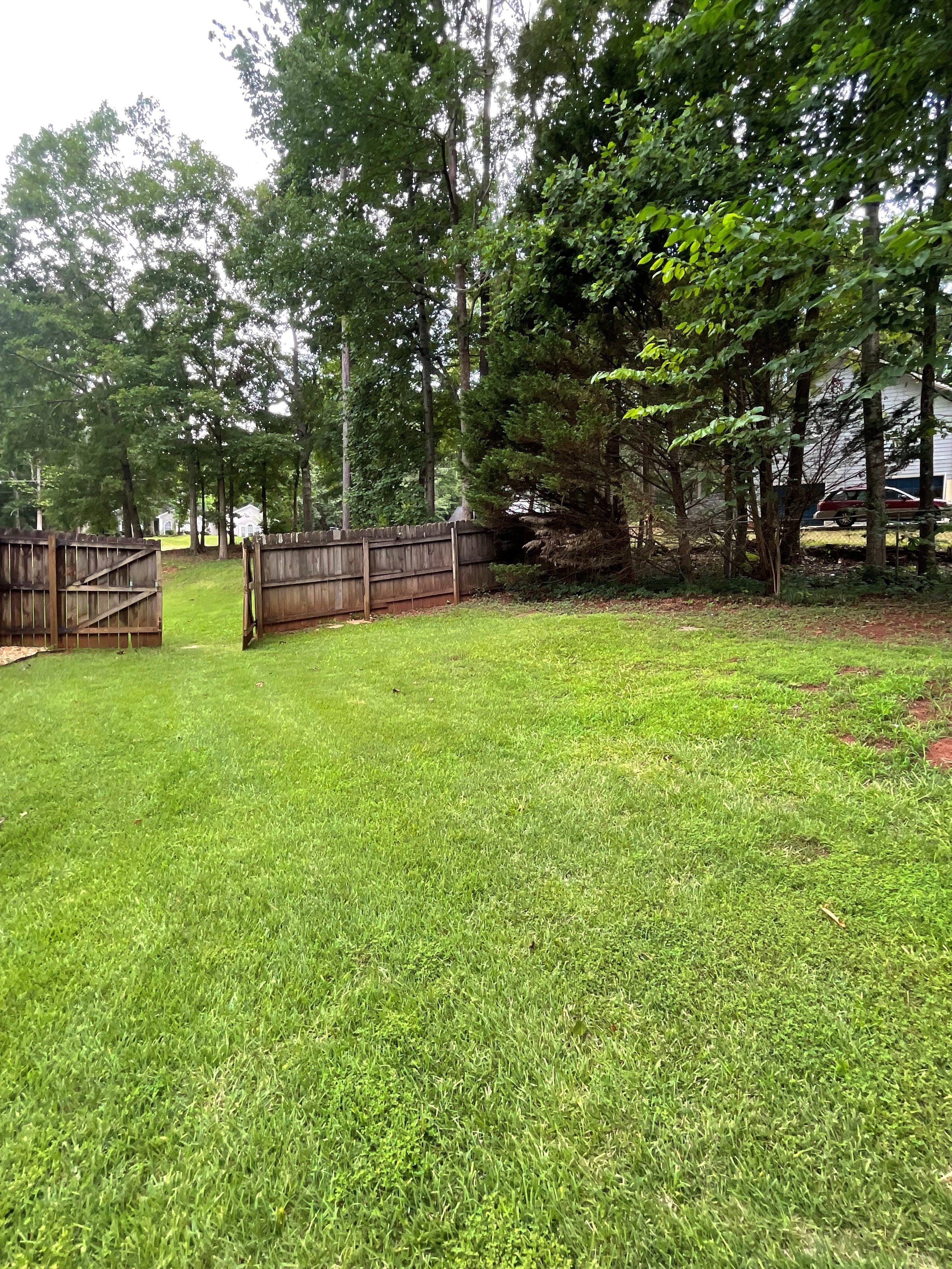 backyard 2.jpg