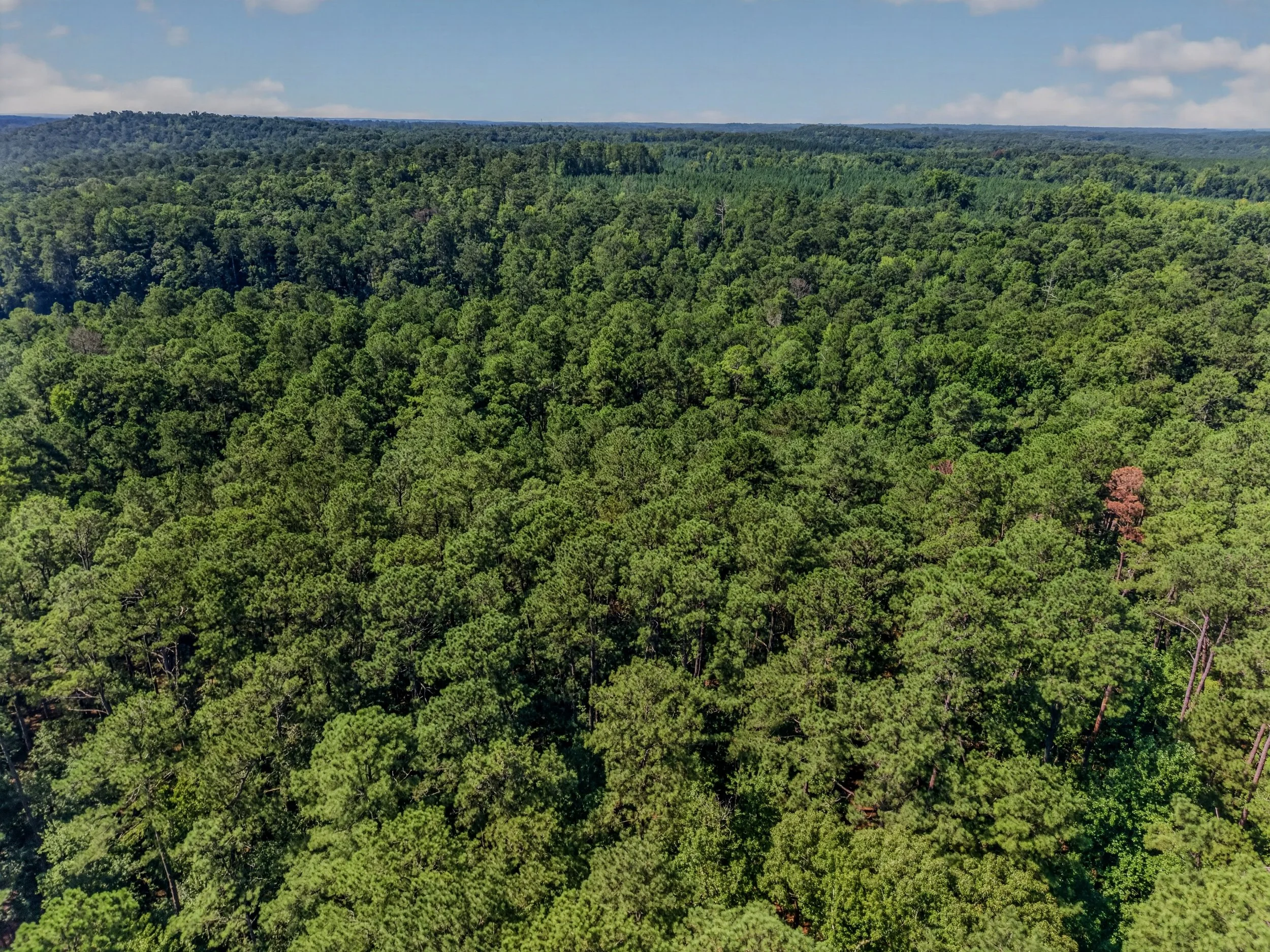 18-DJI_20260820112747_0040_D.jpg