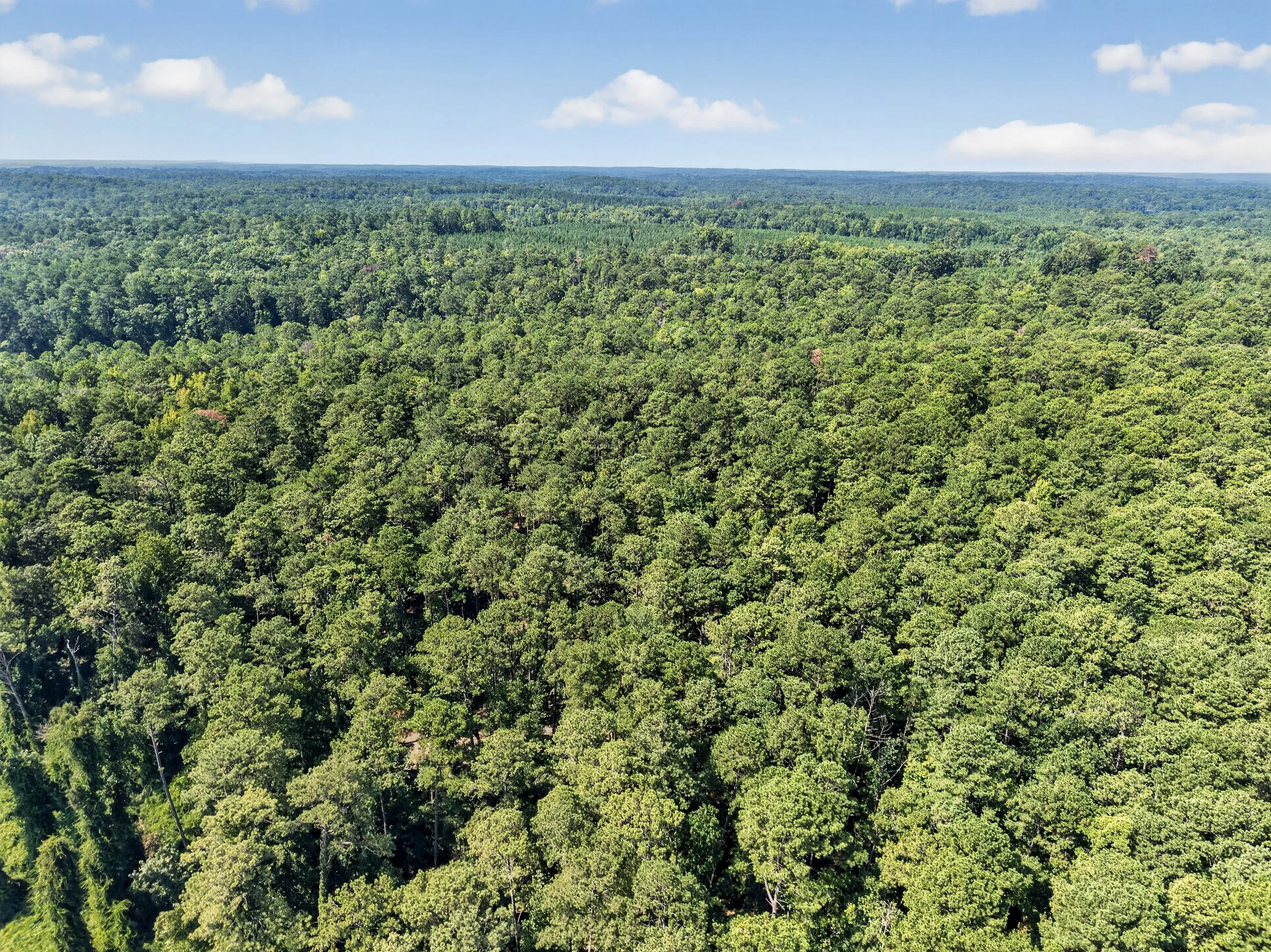 16-DJI_20260820113259_0073_D.jpg