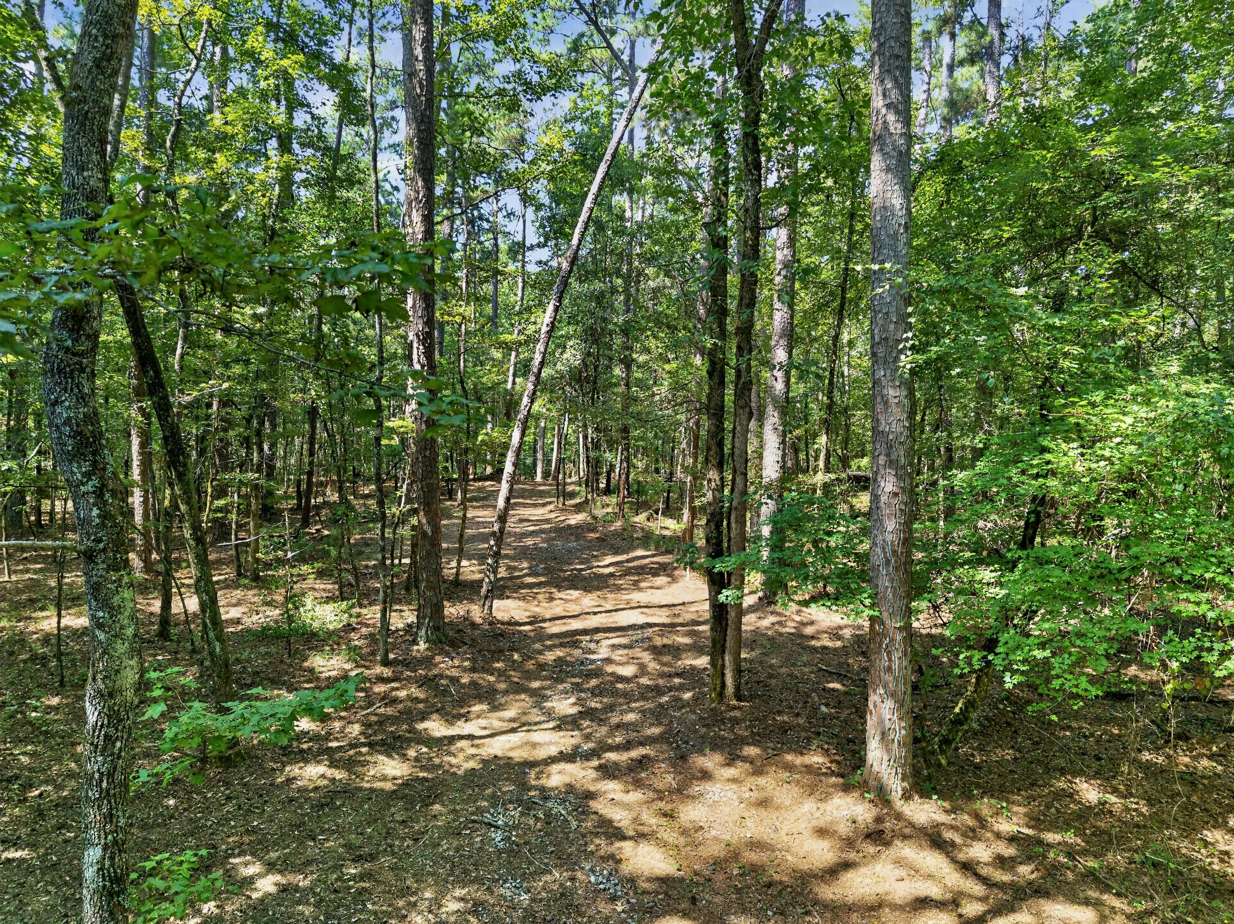 20-DJI_20260820114000_0096_D.jpg