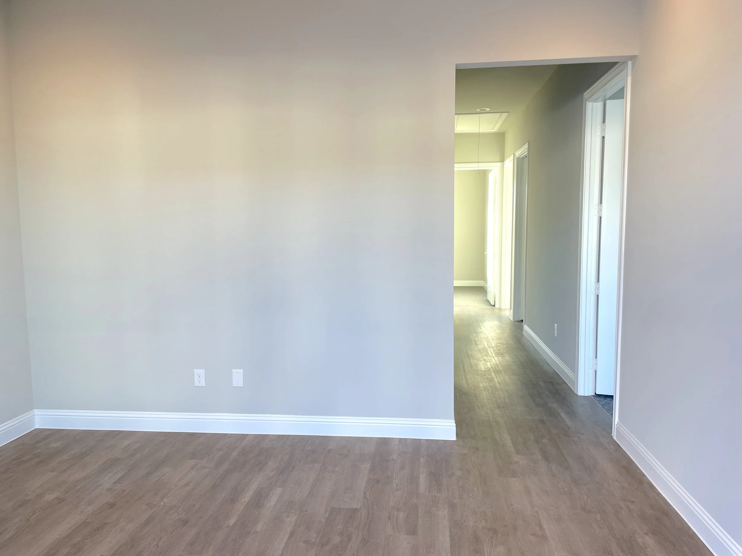 AHOP Pic #4 Reception & Hallway View.jpg