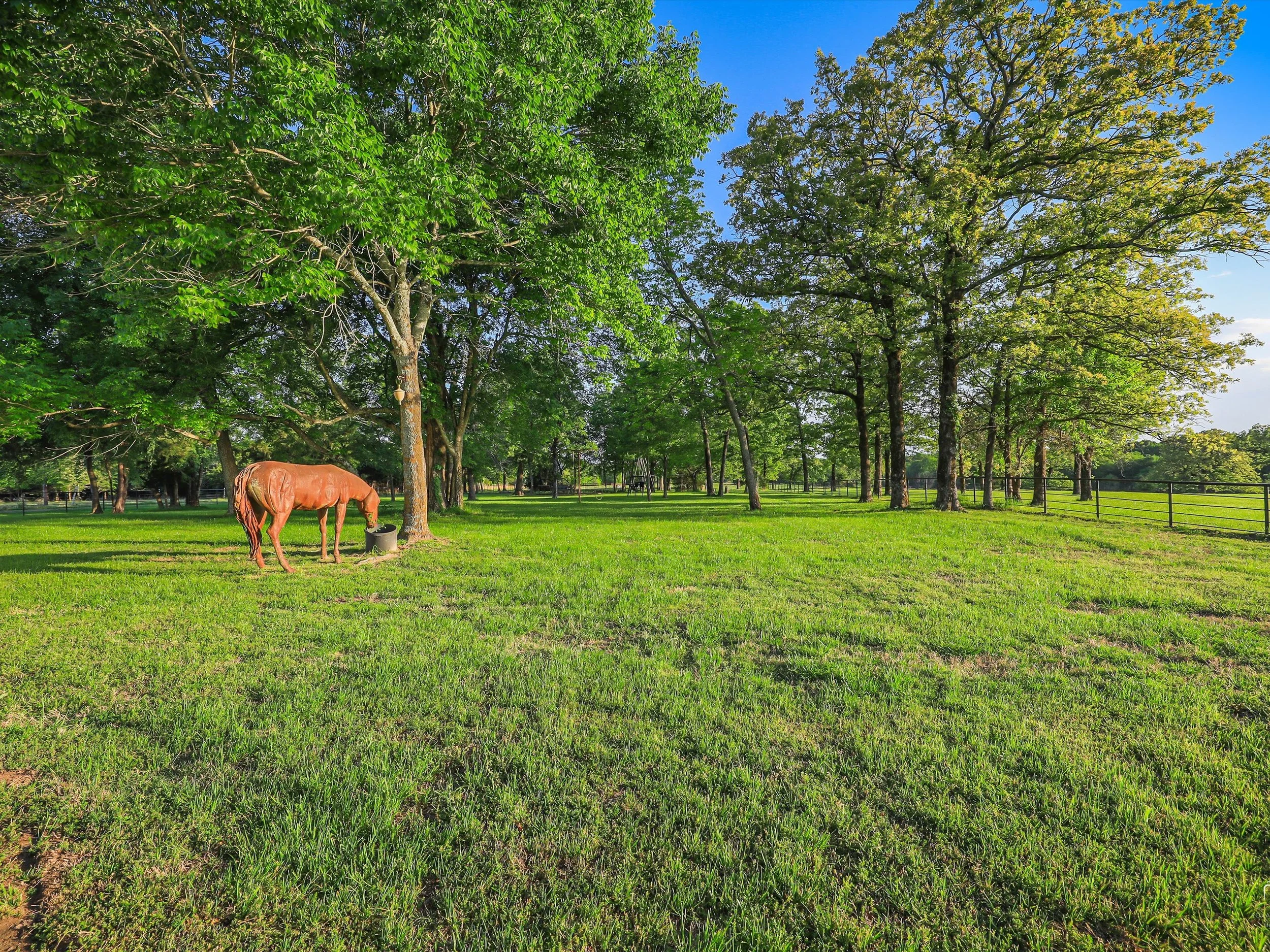 144-Trulock - Horse-144.jpg