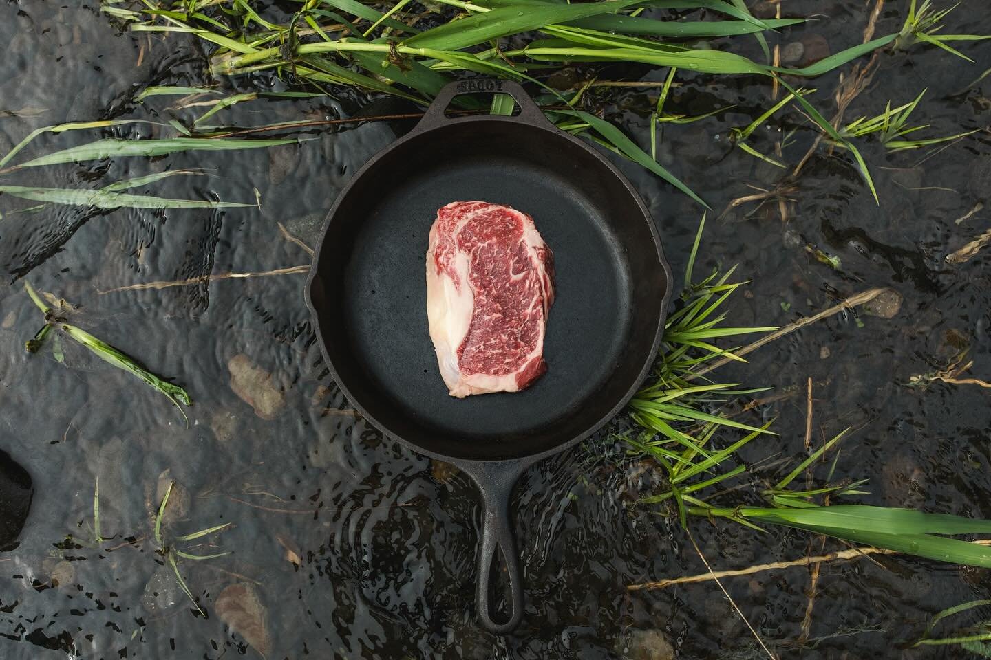 Two days left to get your pre-order in for our beef at @jeremys.farm.to.table! One lucky pre-order will win 5lbs of ground beef and two steaks! #wagyu #beef #wagyubeef #steak