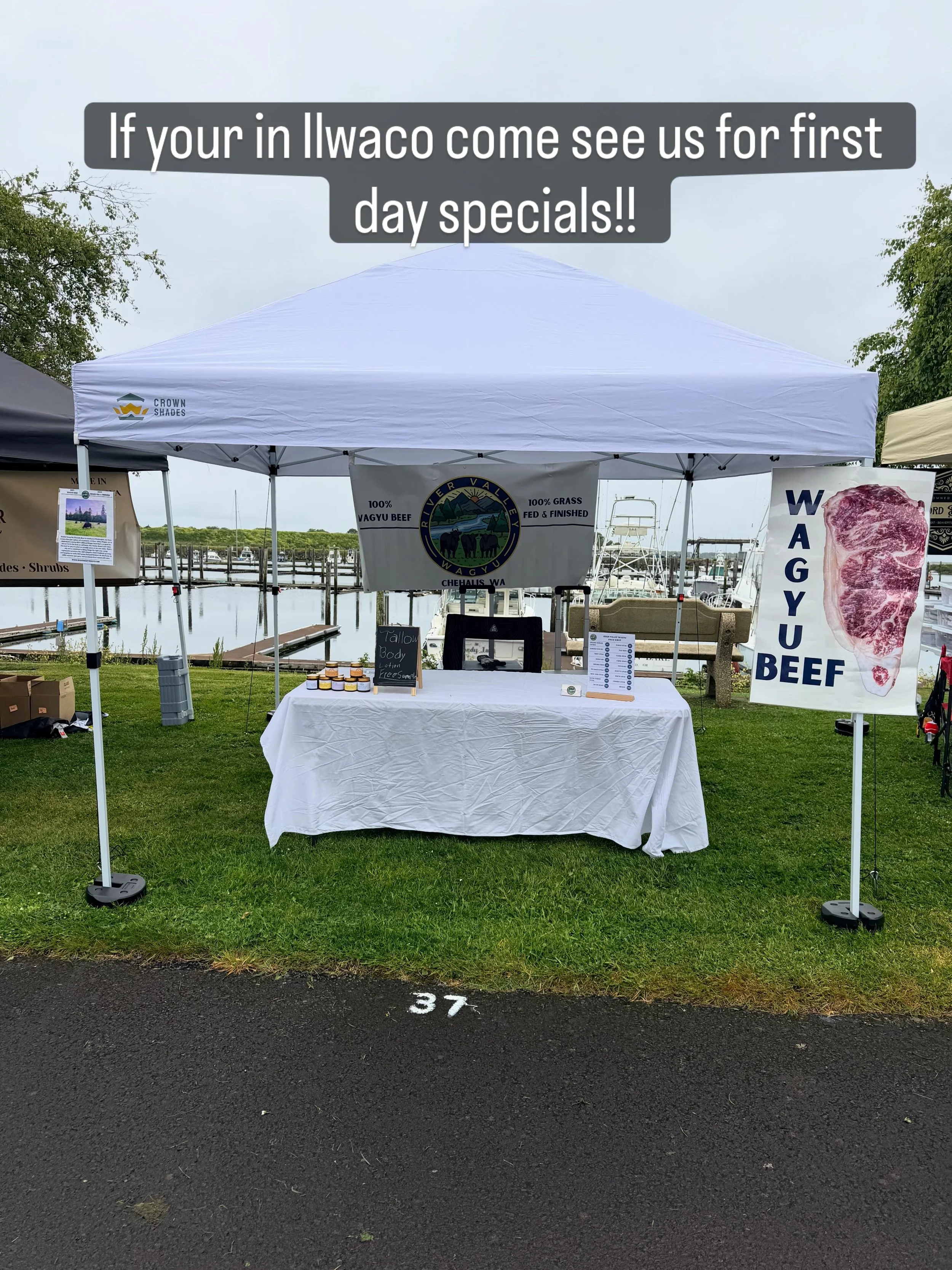 First day at the Ilwaco Saturday Farmer&rsquo;s Market. We are also @olympiafarmersmarket today as well!! Stop and get your local Grass Fed and Grass Finished Wagyu beef!! 🥩 #wagyu #steak #oly #ilwaco