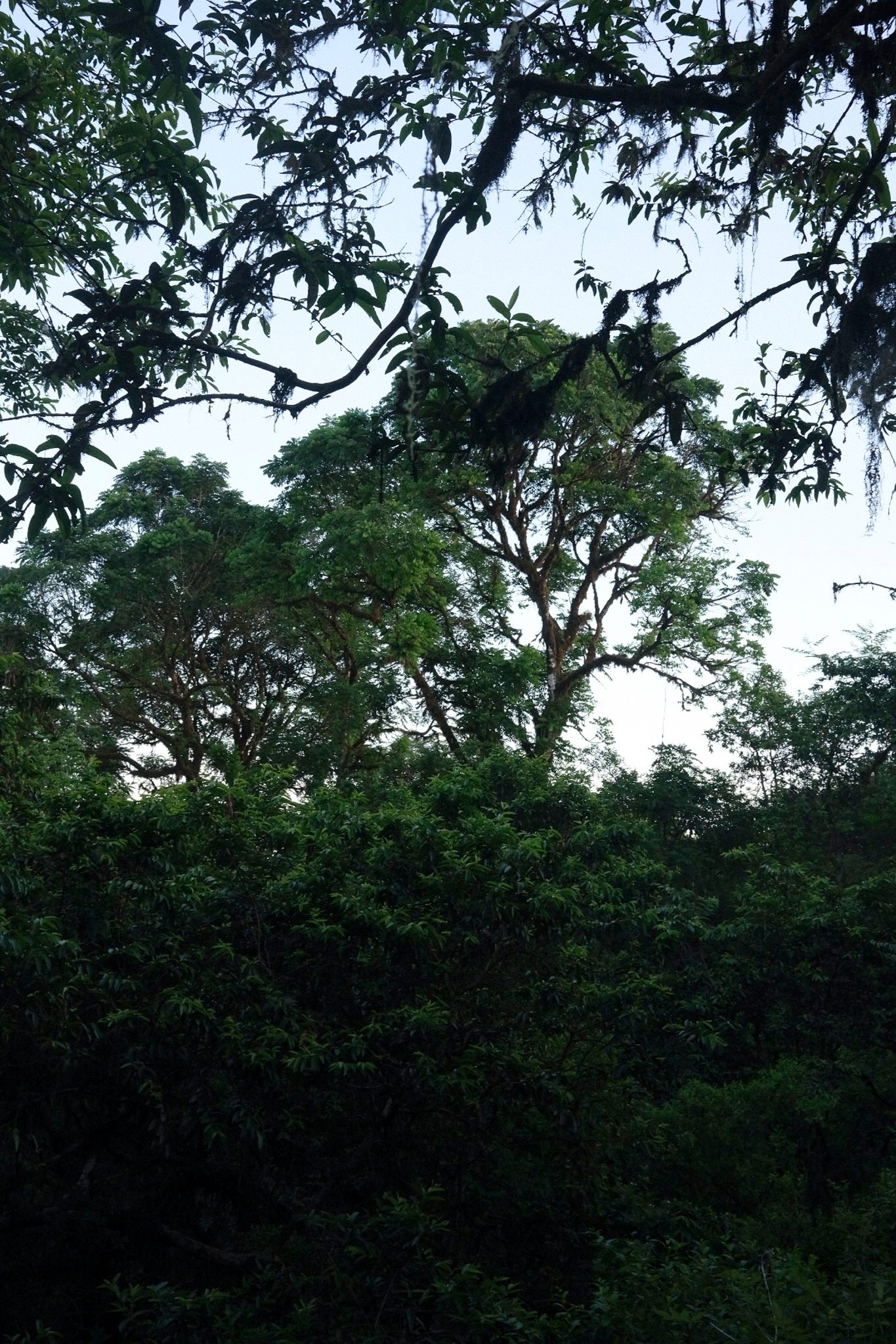 DSCF5894.jpg