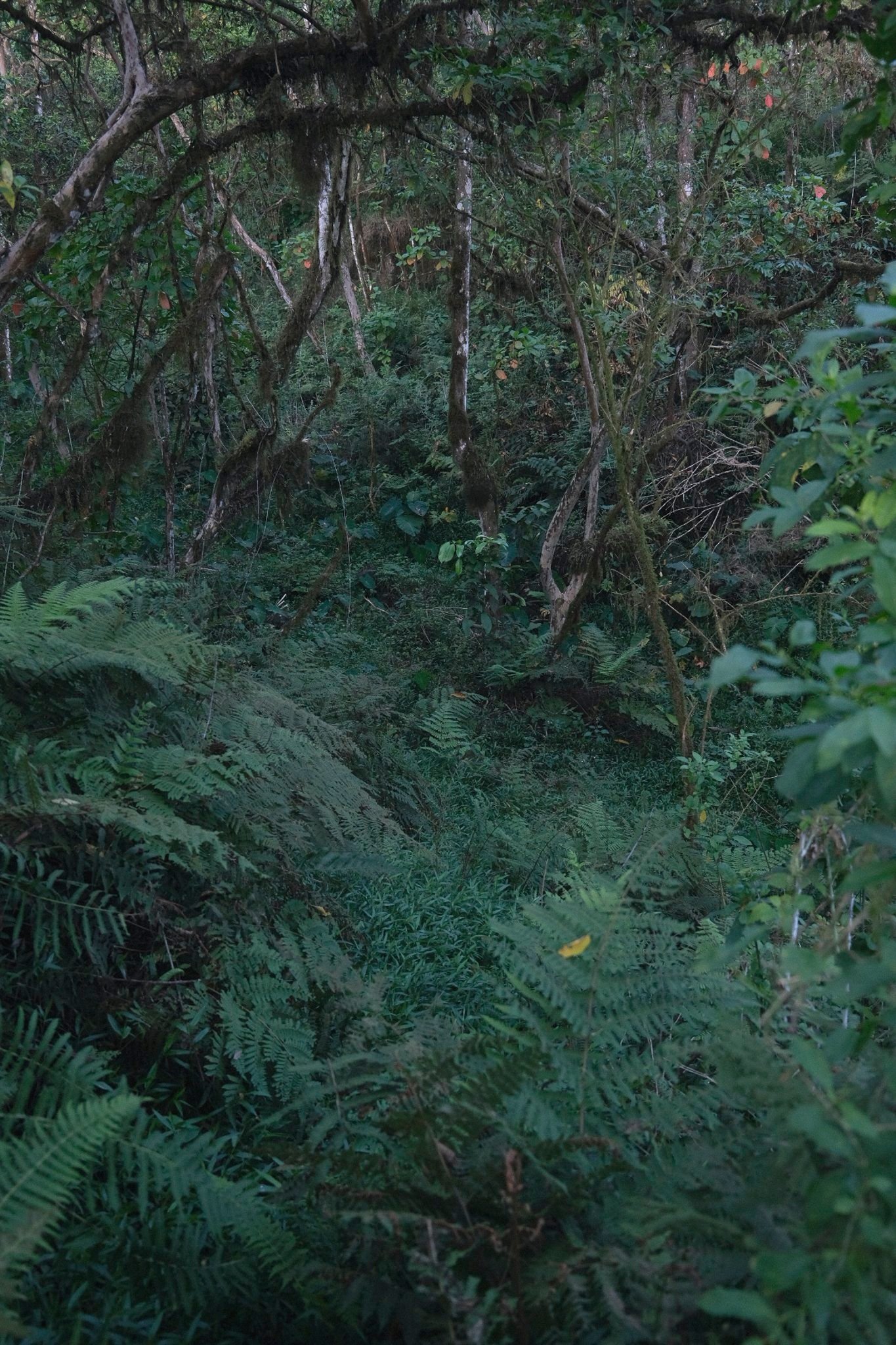DSCF5893.jpg