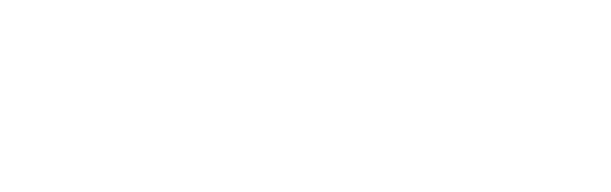 Sedan On Demand