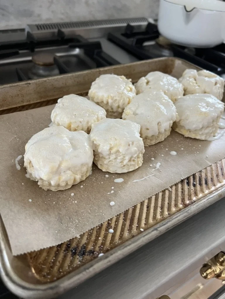 Copy of 93C24375-FA26-4521-8926-E37A406A3A80_1_105_c.jpeg