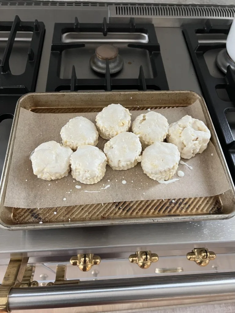 Copy of AFB474B6-212F-4C50-8808-1CD55F9390D0_1_105_c.jpeg