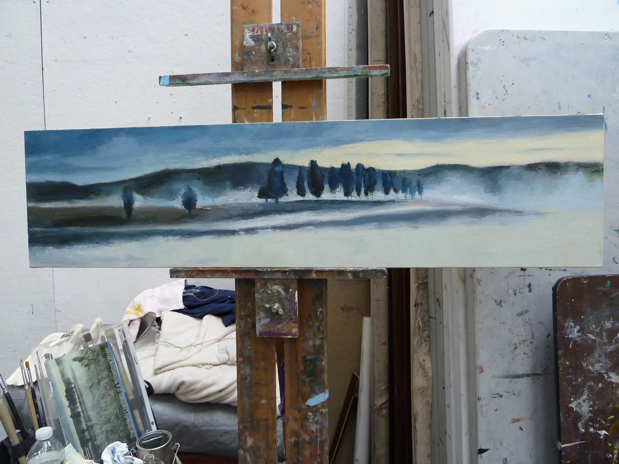 Forest Near Yosemite
12 x 48"