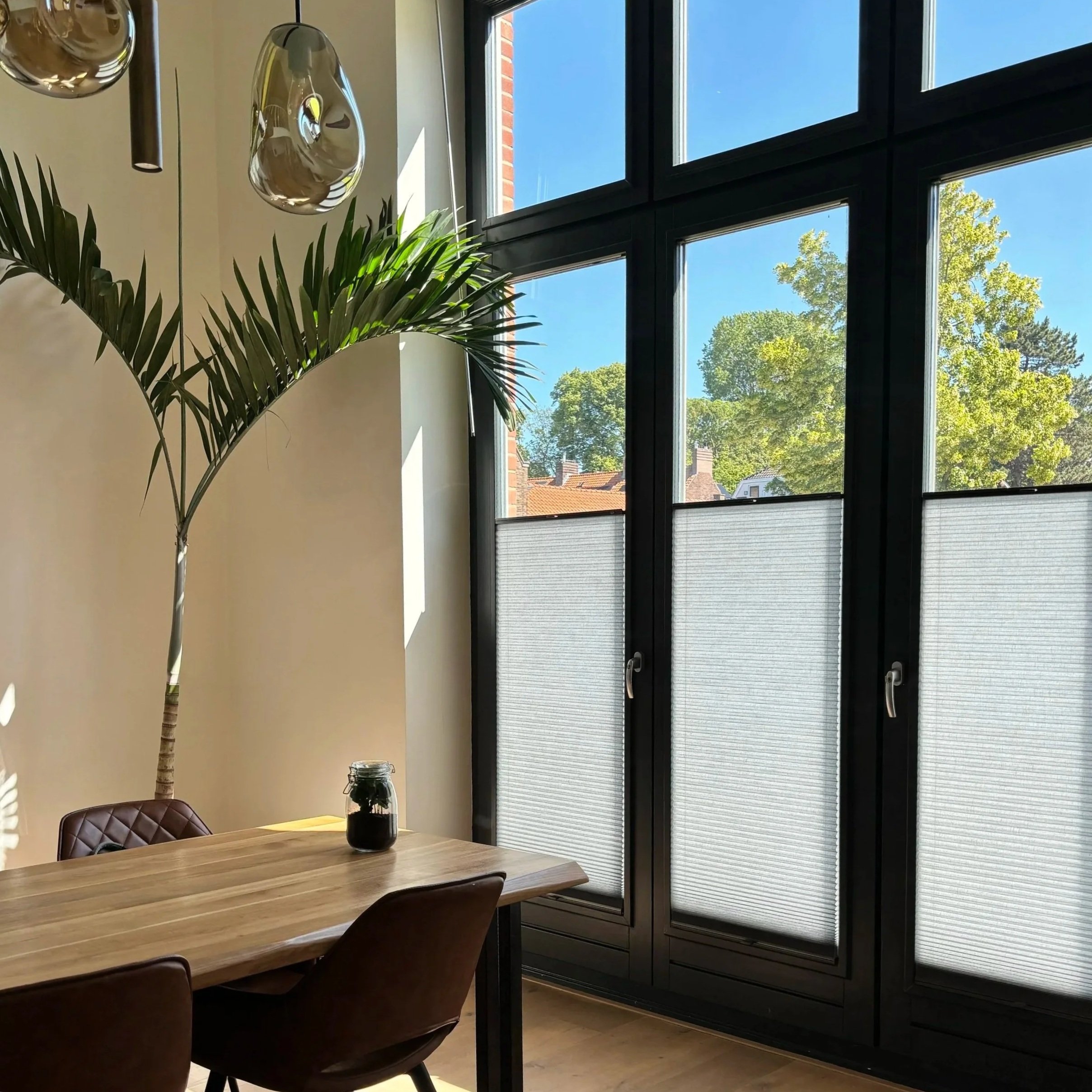 A modern dining area with a wooden table, brown chairs, a large potted plant, a jar of dark liquid on the table, and tall windows with black frames and partially closed shades showing trees and a blue sky outside.