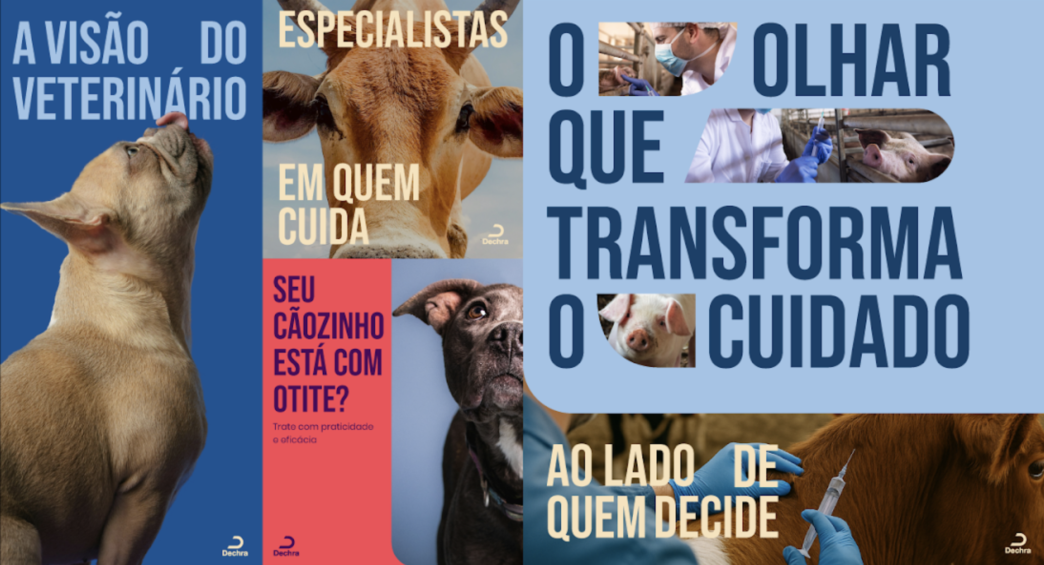Captura de Tela 2026-08-13 às 20.22.49.png