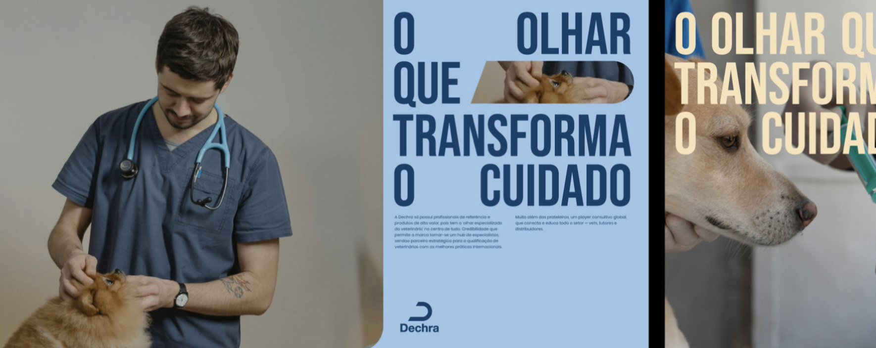 Captura de Tela 2026-08-13 às 20.15.46.png