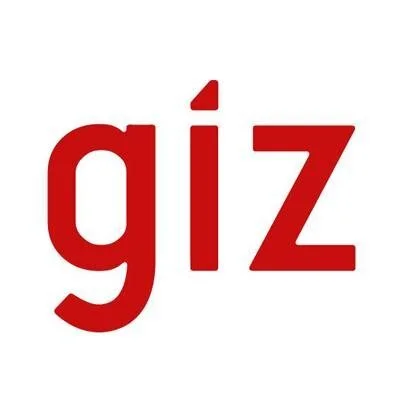 Close-up of the red text 'giz' on a white background.