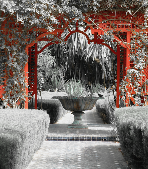 bird fountain med.png