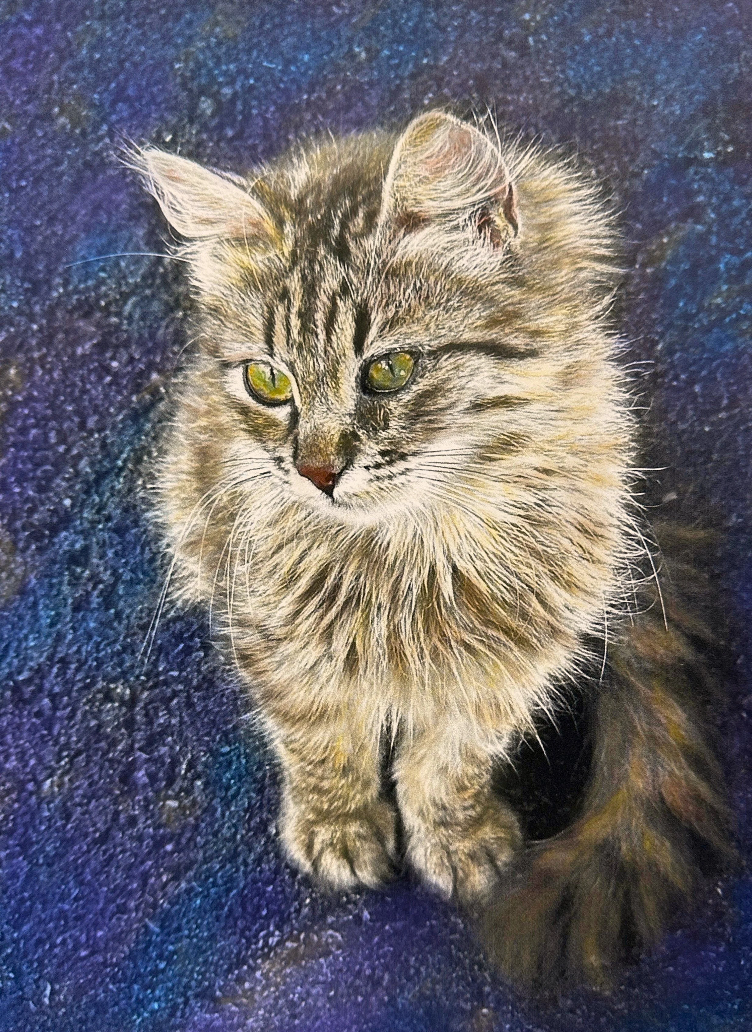 Perugia Kitty FINAL for website Toni Parras.jpg