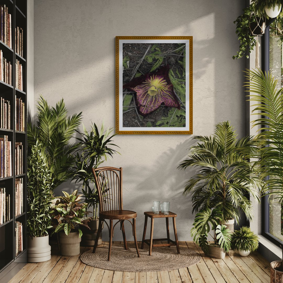 warm-room-filled-with-tropical-plants.jpg
