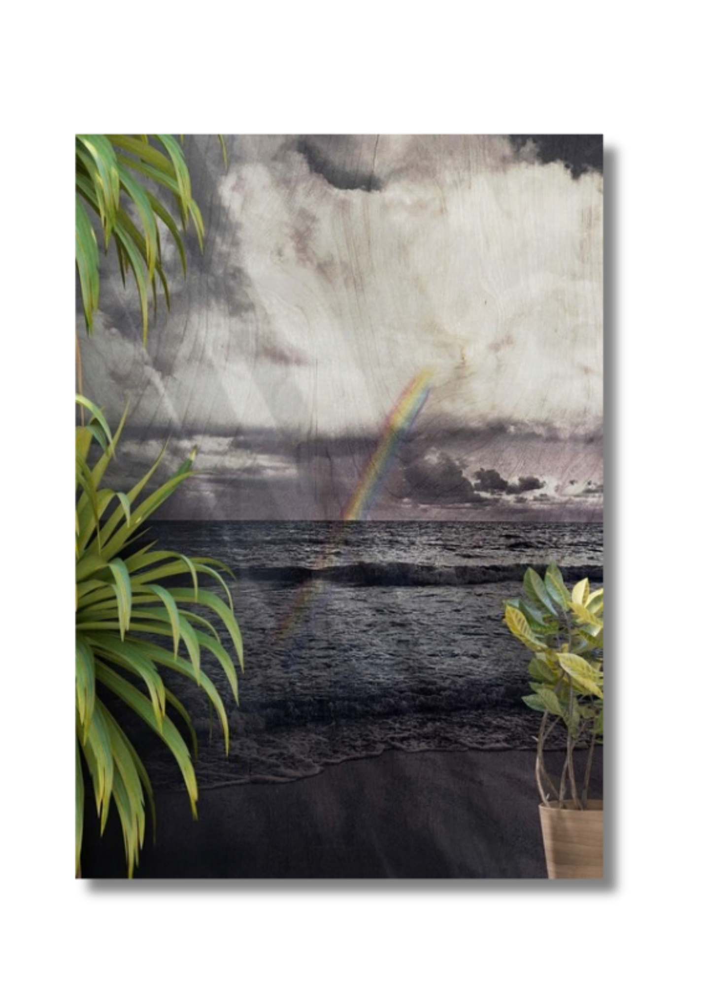 Copy of Untitled Design (2).png