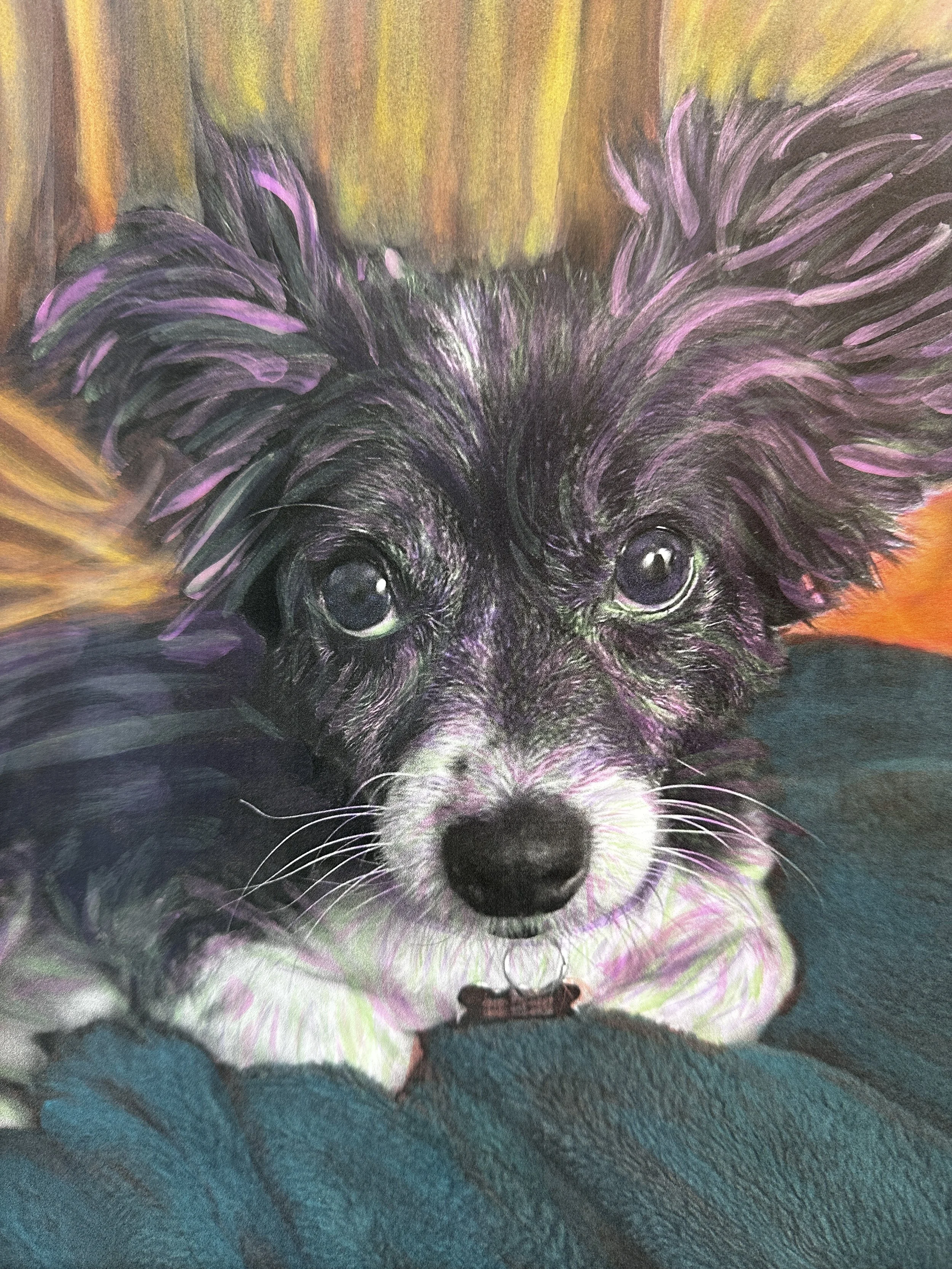 Cutie Pooks FINAL full size IMG_3831.JPG