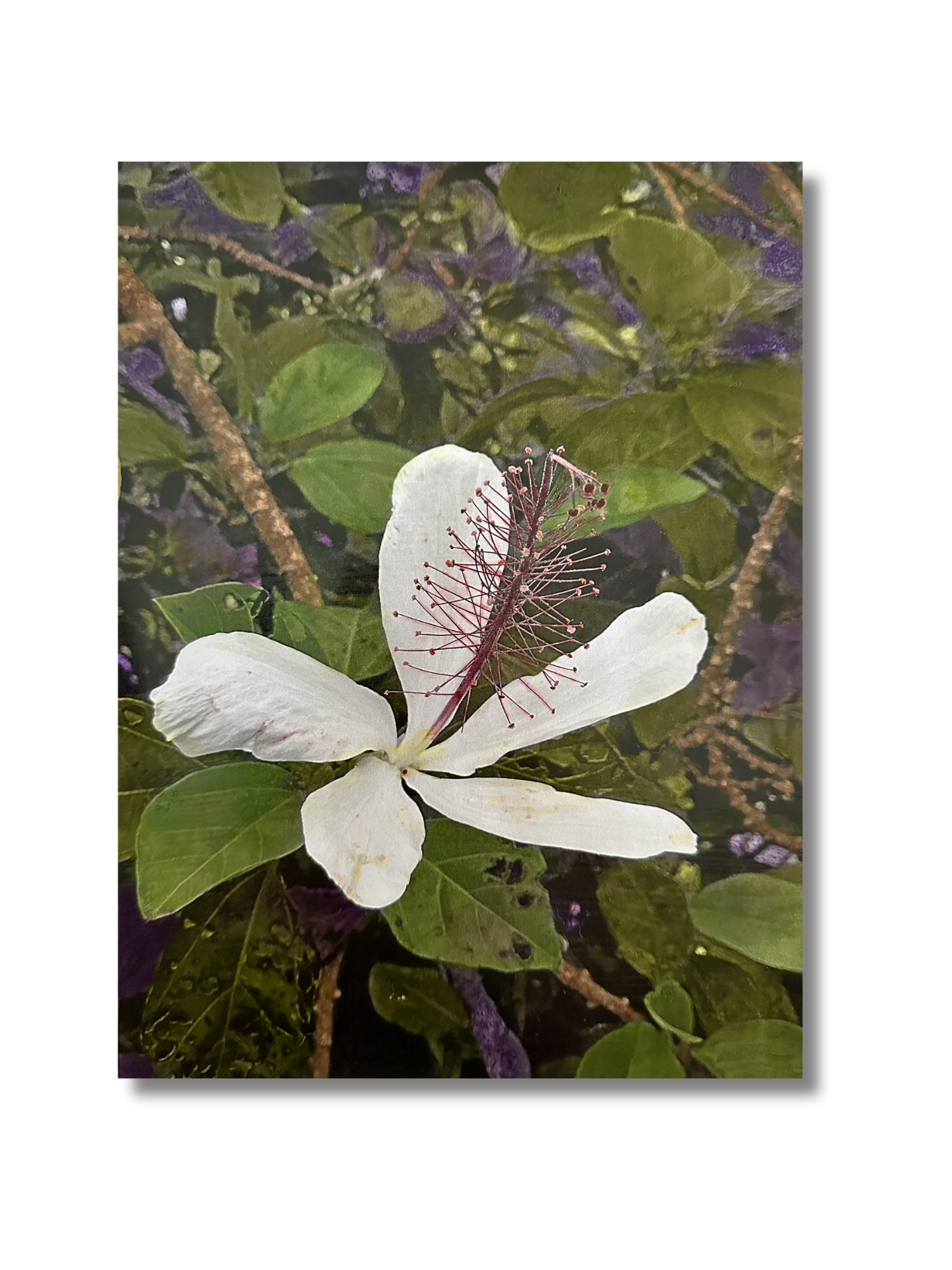 Website image product template 1500 x 2000 px (2).png